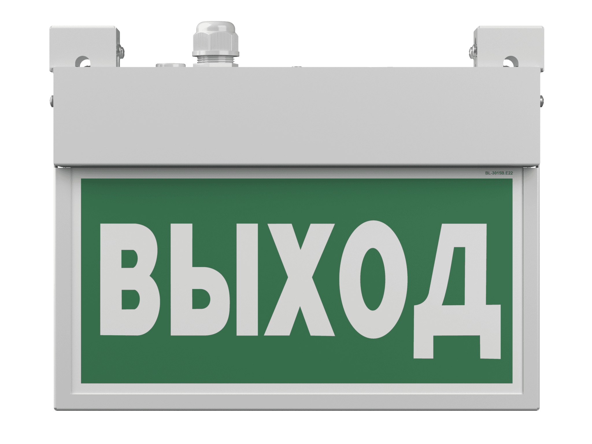 Белый свет Световой указатель BS-FLAG-10-S1-ELON a17019 — миниатюра 5