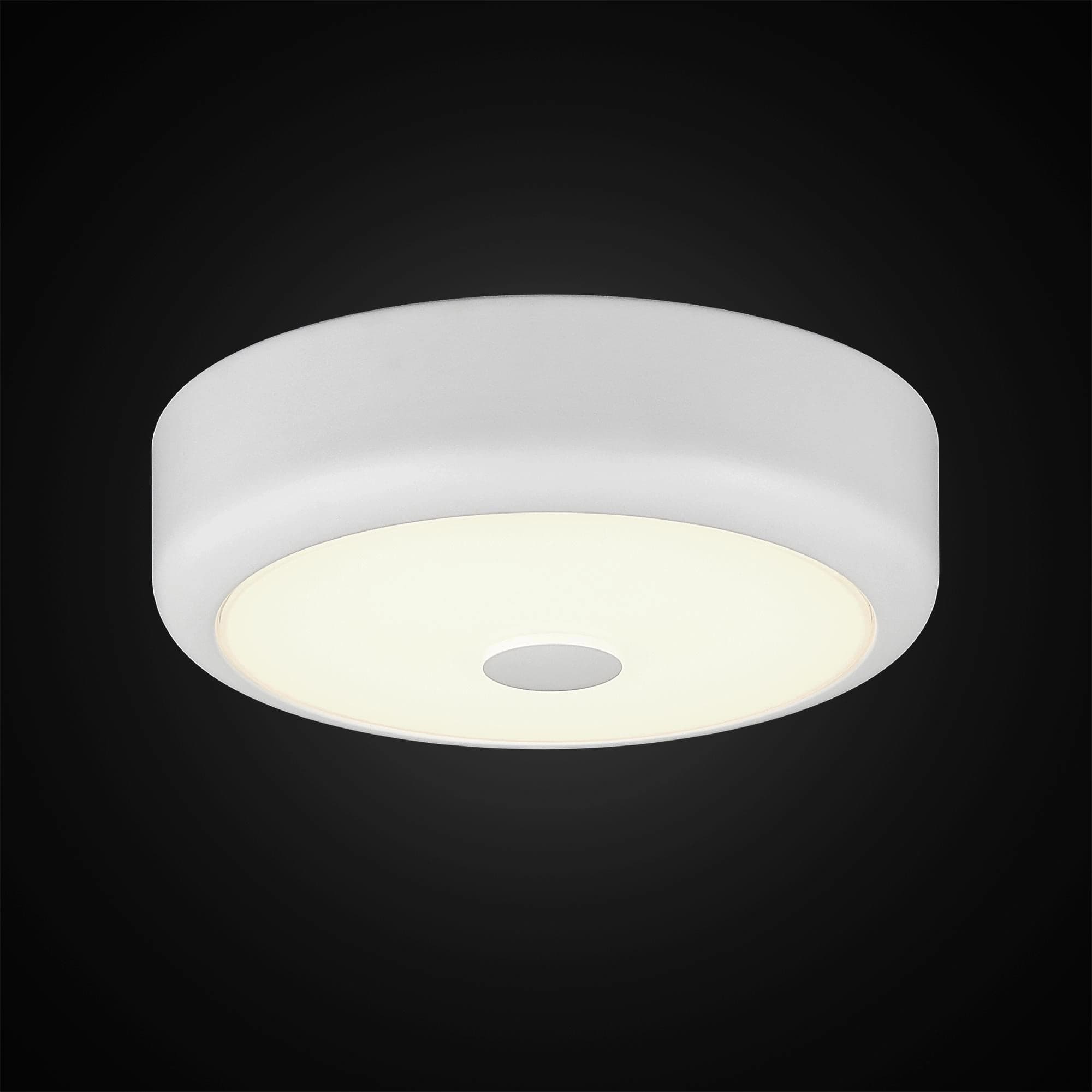 Citilux CL706110 Фостер-1 Белый Светильник Наст.-Потол — миниатюра 2