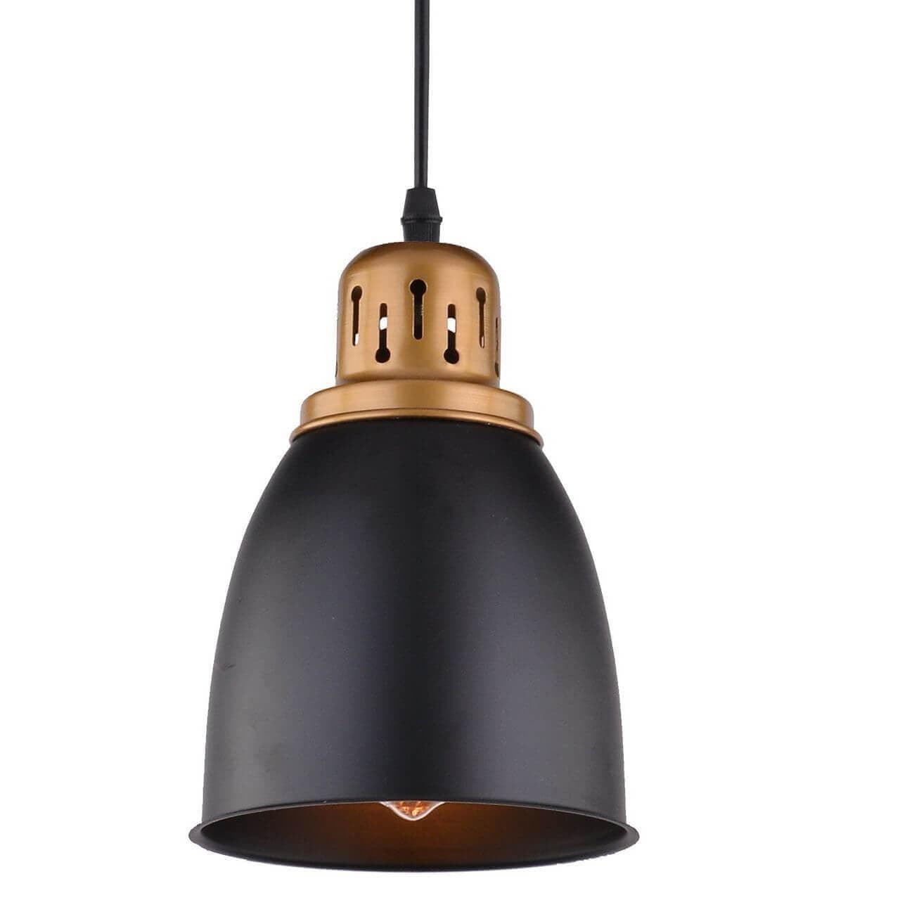 Arte Lamp EURICA Подвес 21*16*16 A4248SP-1BK — миниатюра 2