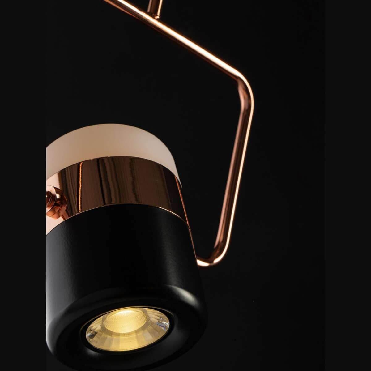 LOFT IT 8118-B Подвесной светильник LED*7W+1W  8118-B, шт — миниатюра 2