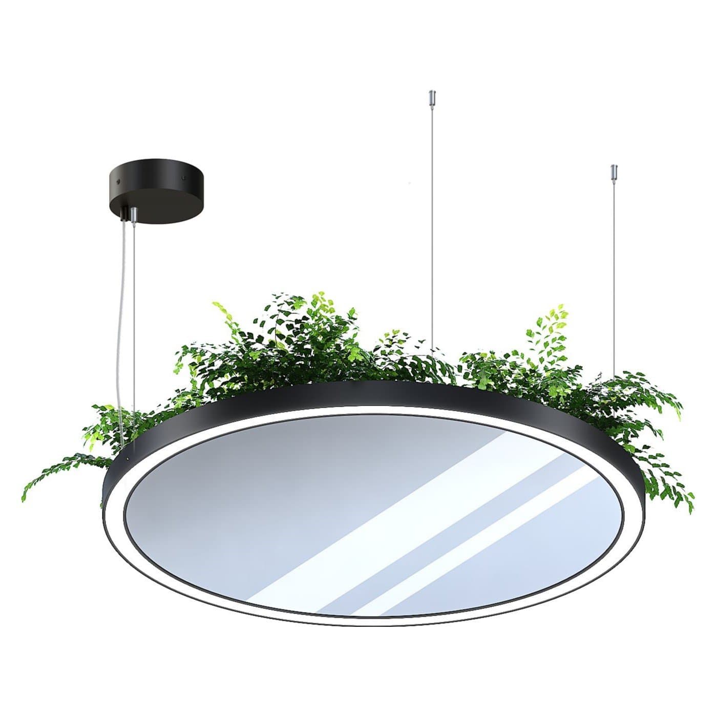 Svetholl Плант №7 D794 H65 Мощность: 31W ISPLF1-065000-079430031