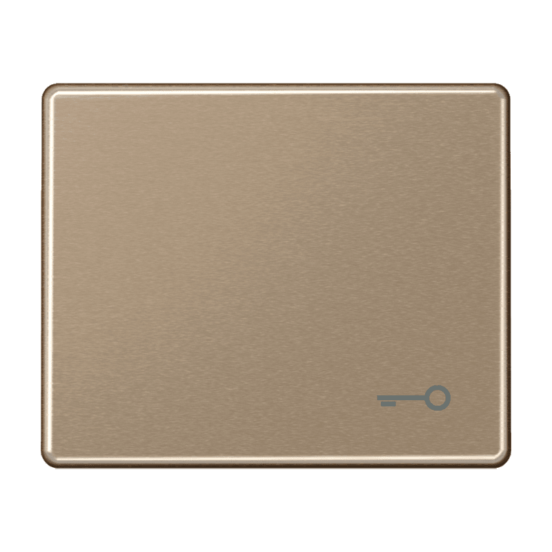 JUNG SL 500 Бронза Клавиша 1-ая с символом КЛЮЧ SL590TGB