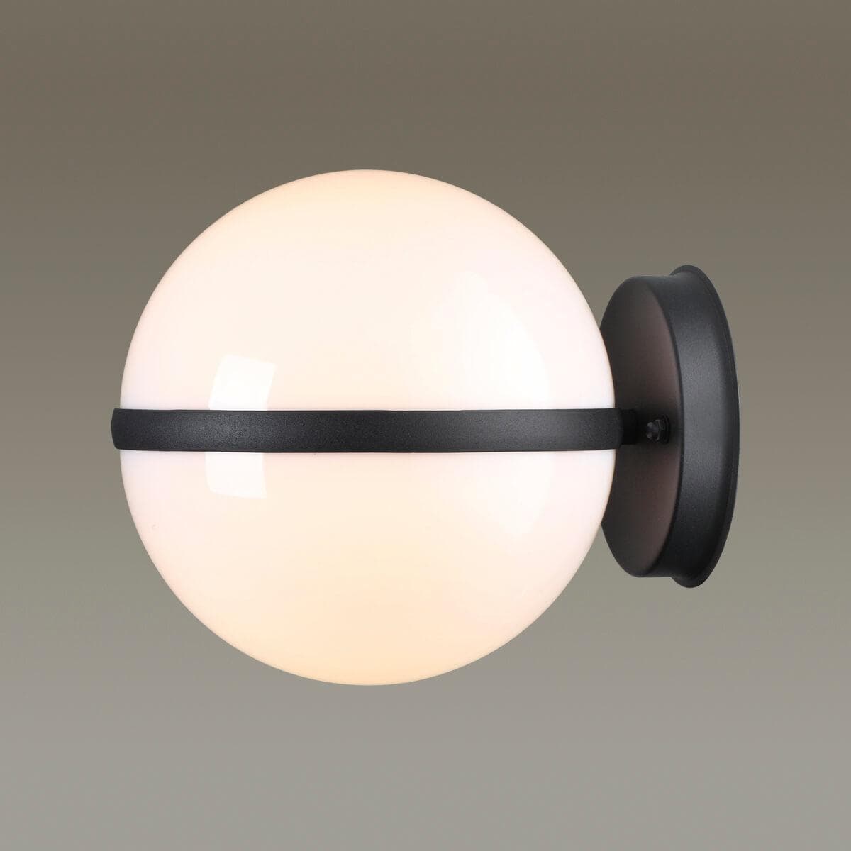 Odeon Light 4832/1W NATURE ODL21 563 черный/акрил Ландшафтный настенный светильник E27 1*10W IP44 LOMEO LOMEO — миниатюра 4