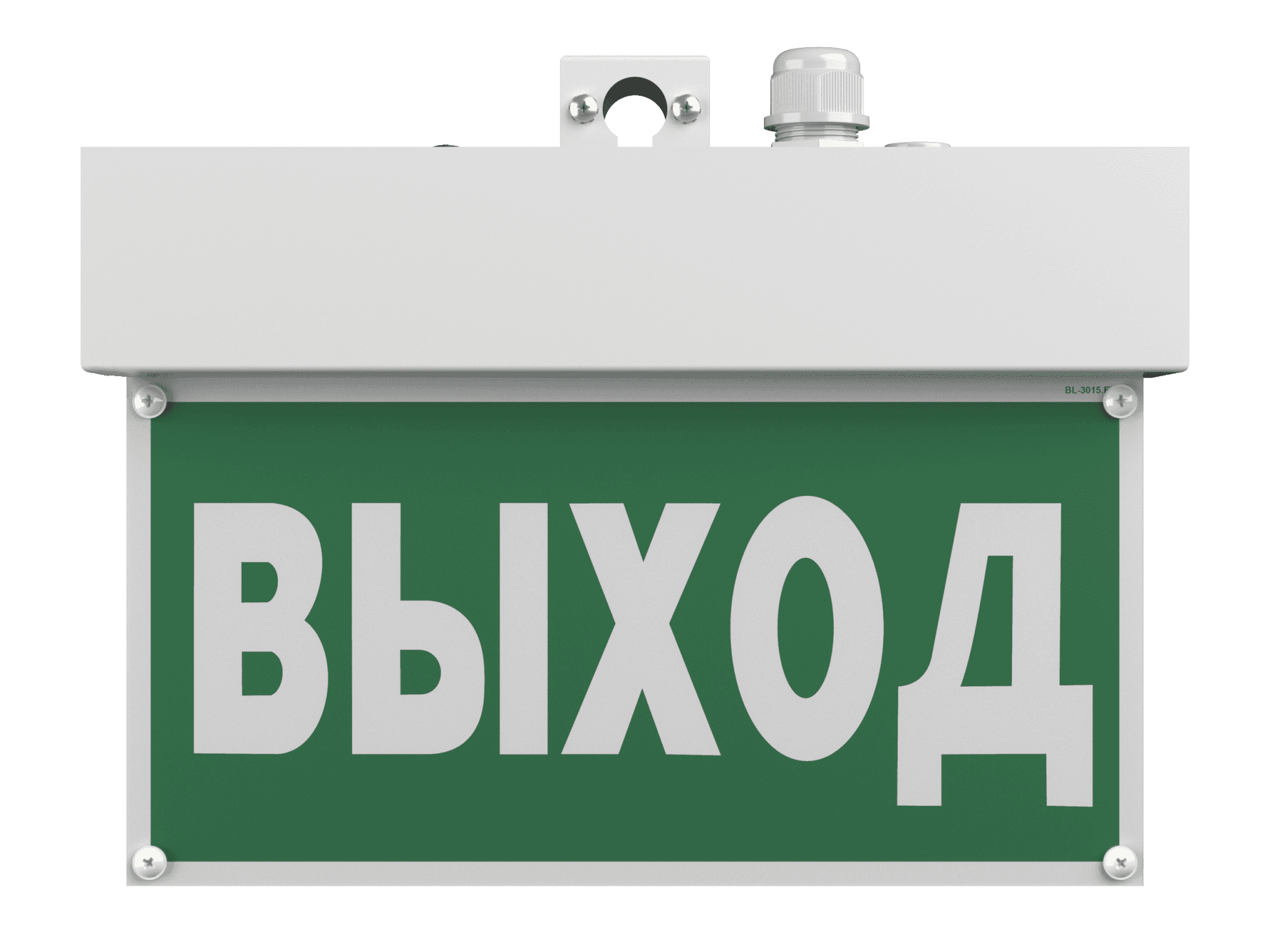 Белый свет Световой указатель BS-TERON-10-S1-ELON a17038 — миниатюра 3