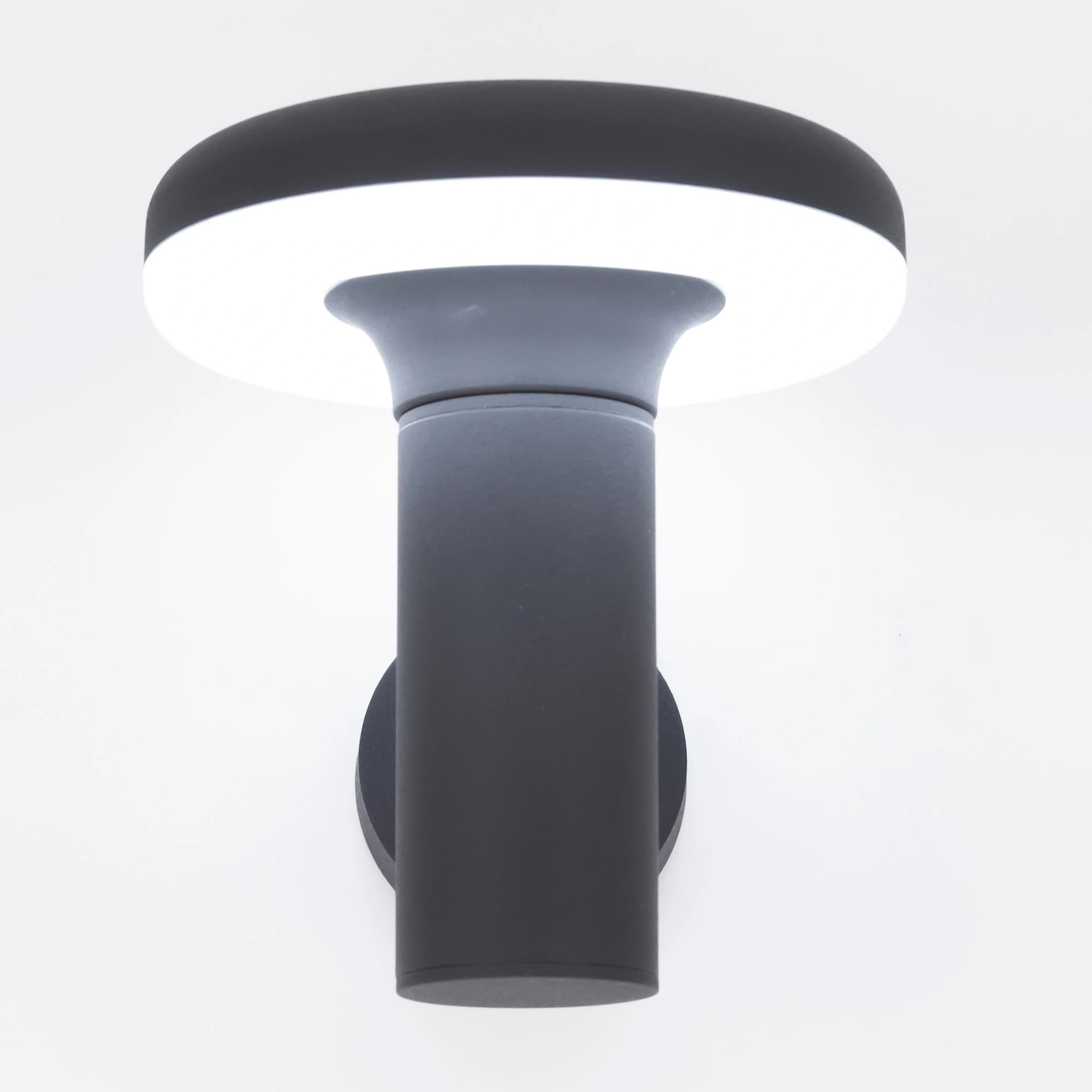 Citilux CLU01W Светильник Уличный Настенный — миниатюра 3