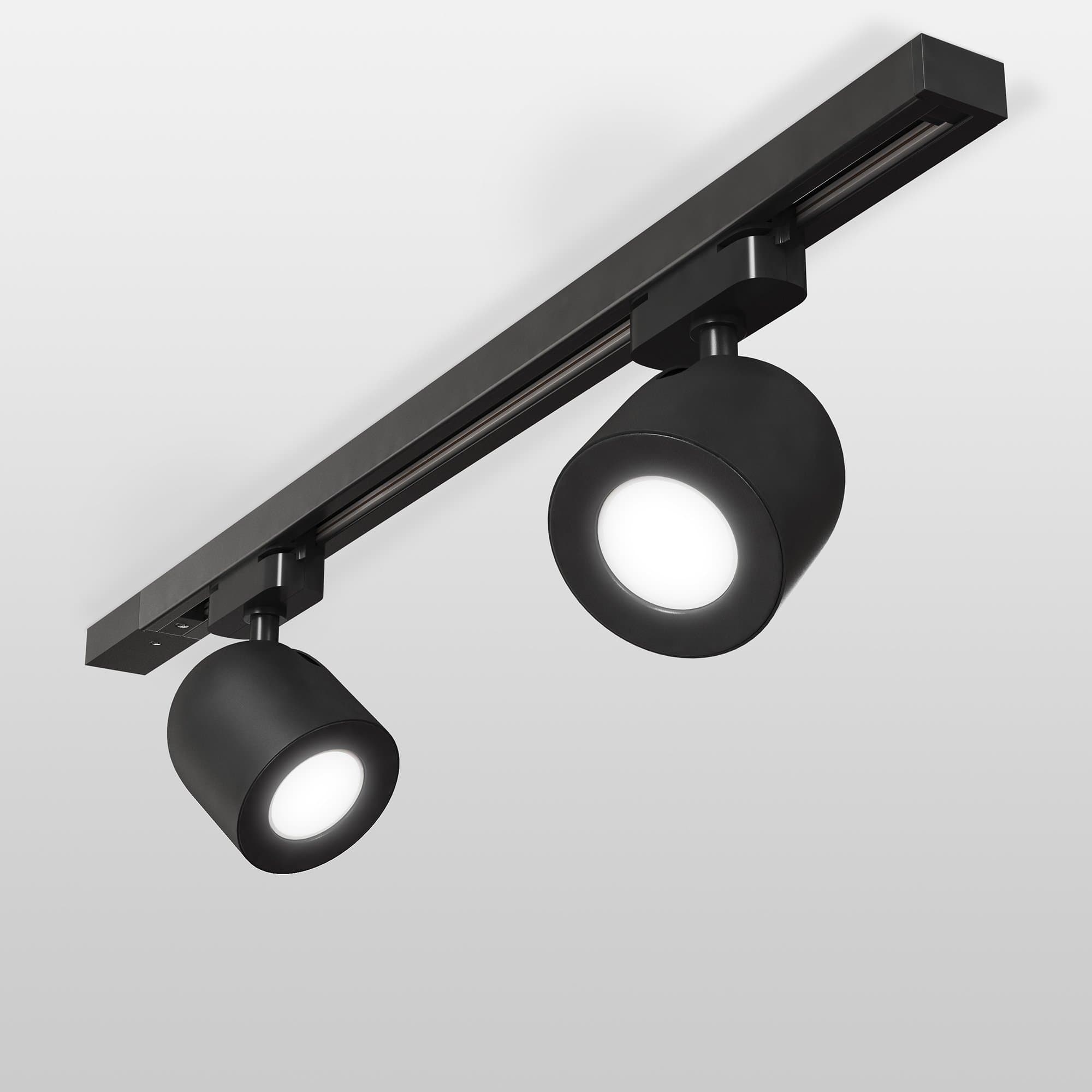 Elektrostandard MRL 1005 / Светильник потолочный Ogma Черный GU10 a047372
