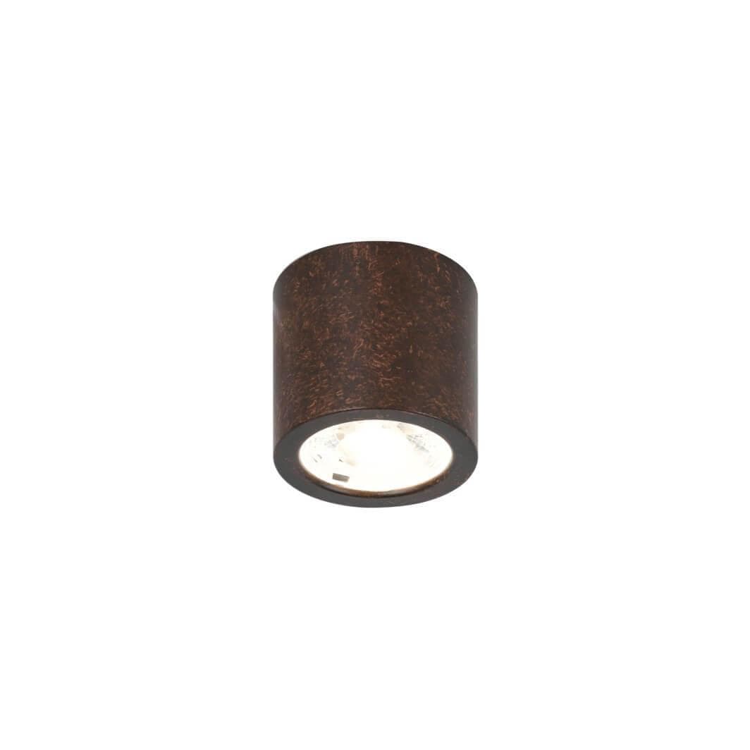 Favourite 2809-1C Deorsum Потолочный светильник D65*H60, 1*LED*7W, 560LM, 4000K, included
