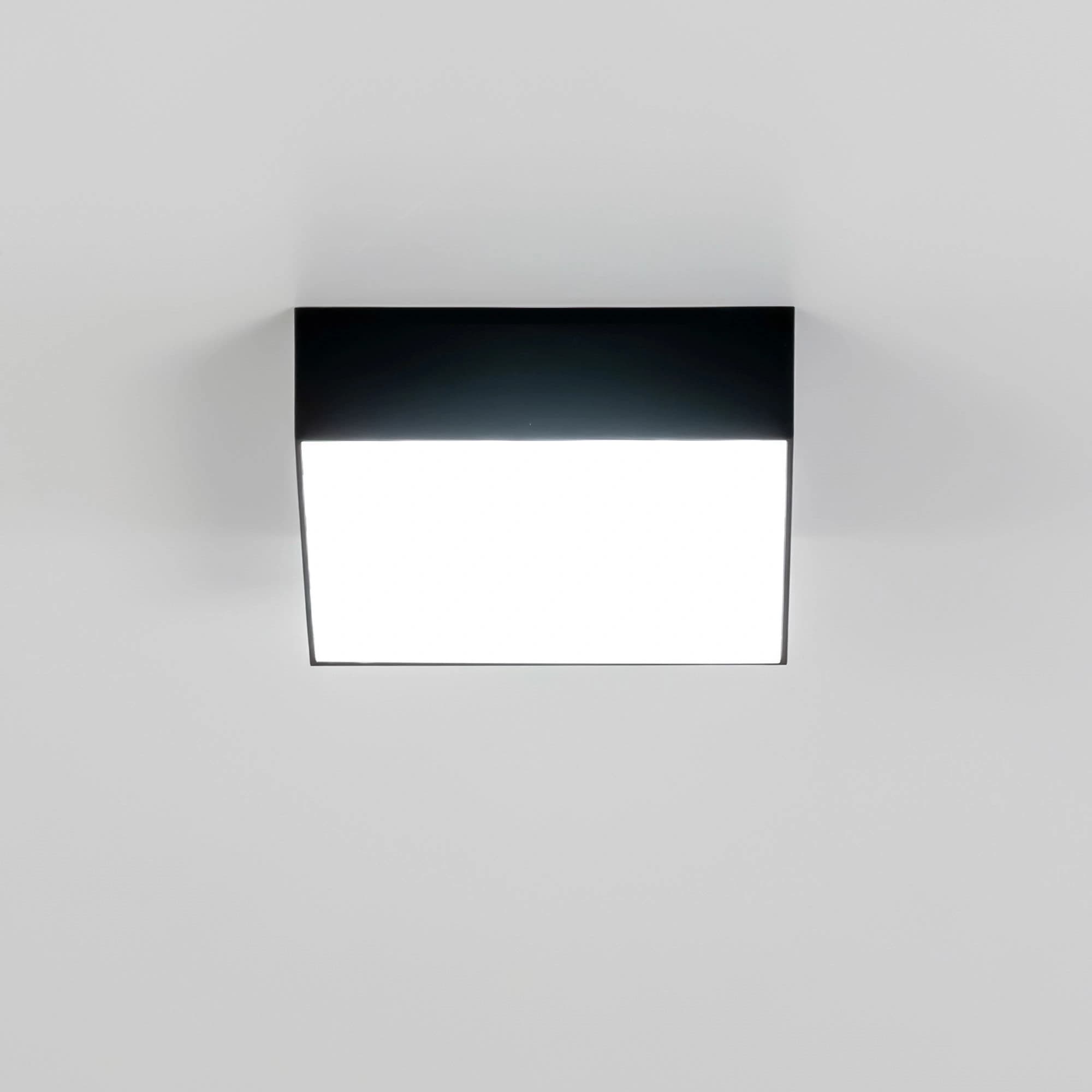 Citilux CL712X122N Тао Черный Светильник Накл. LED 12W*4000K — миниатюра 21