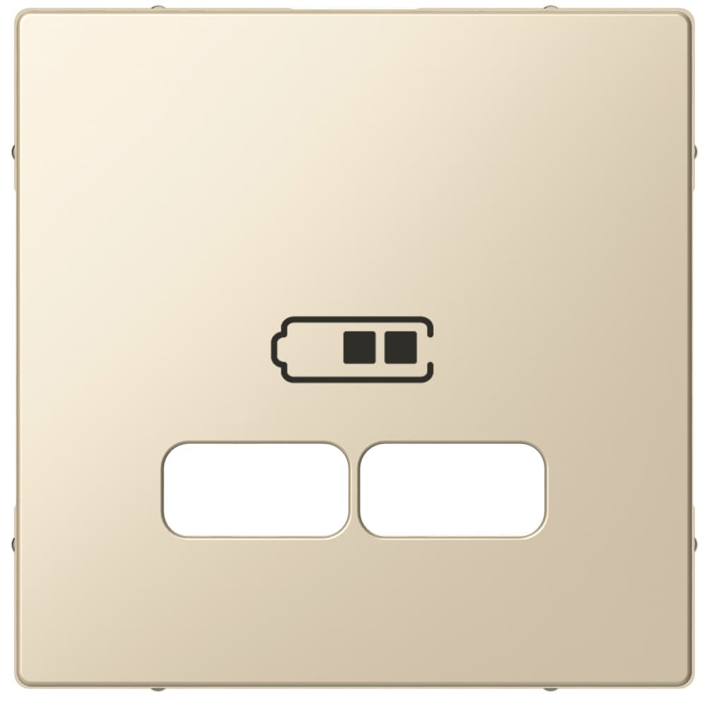 SE Merten SM Беж Накладка центральная для USB механизма 2,1А MTN4367-0344