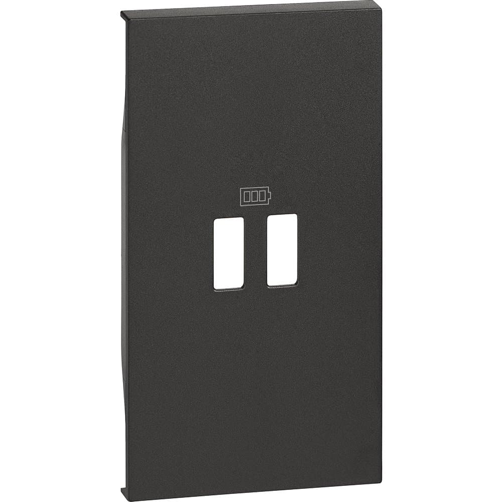 BT Living now Черный Лицевая панель для зарядных устройств USB 2 мод KG12C