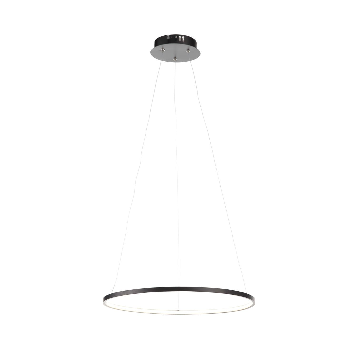 ST Luce SL904.403.01 Светильник подвесной Черный/Белый LED 1*12W