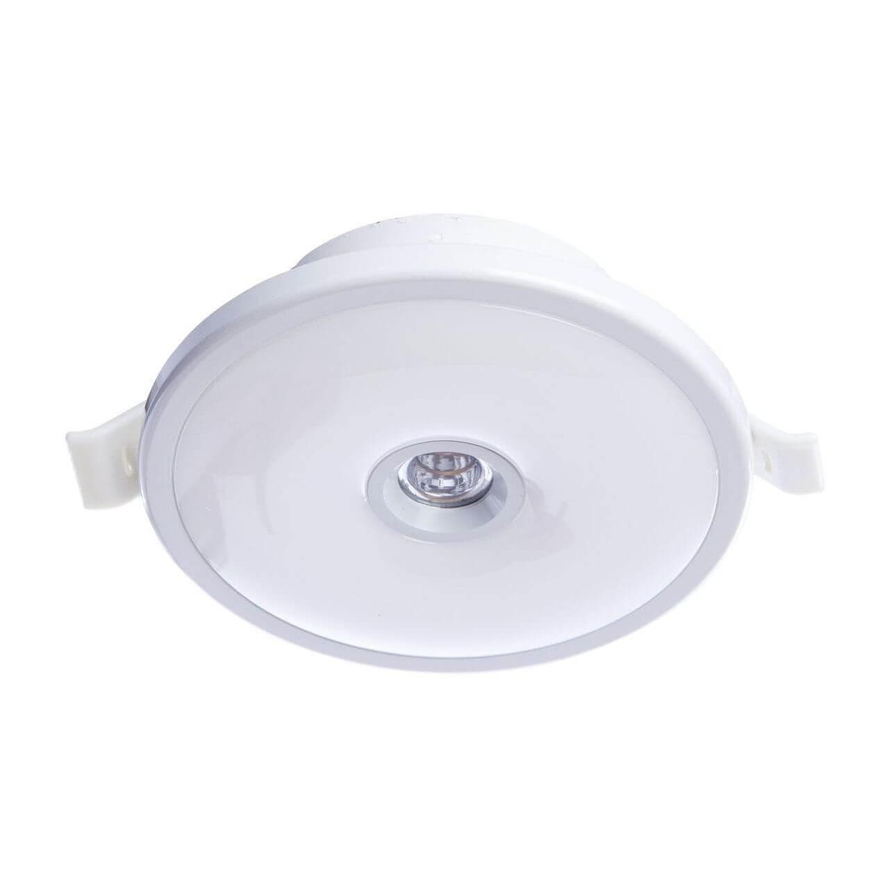 Arte Lamp VERSUS Потолочные светильники A2517PL-2WH