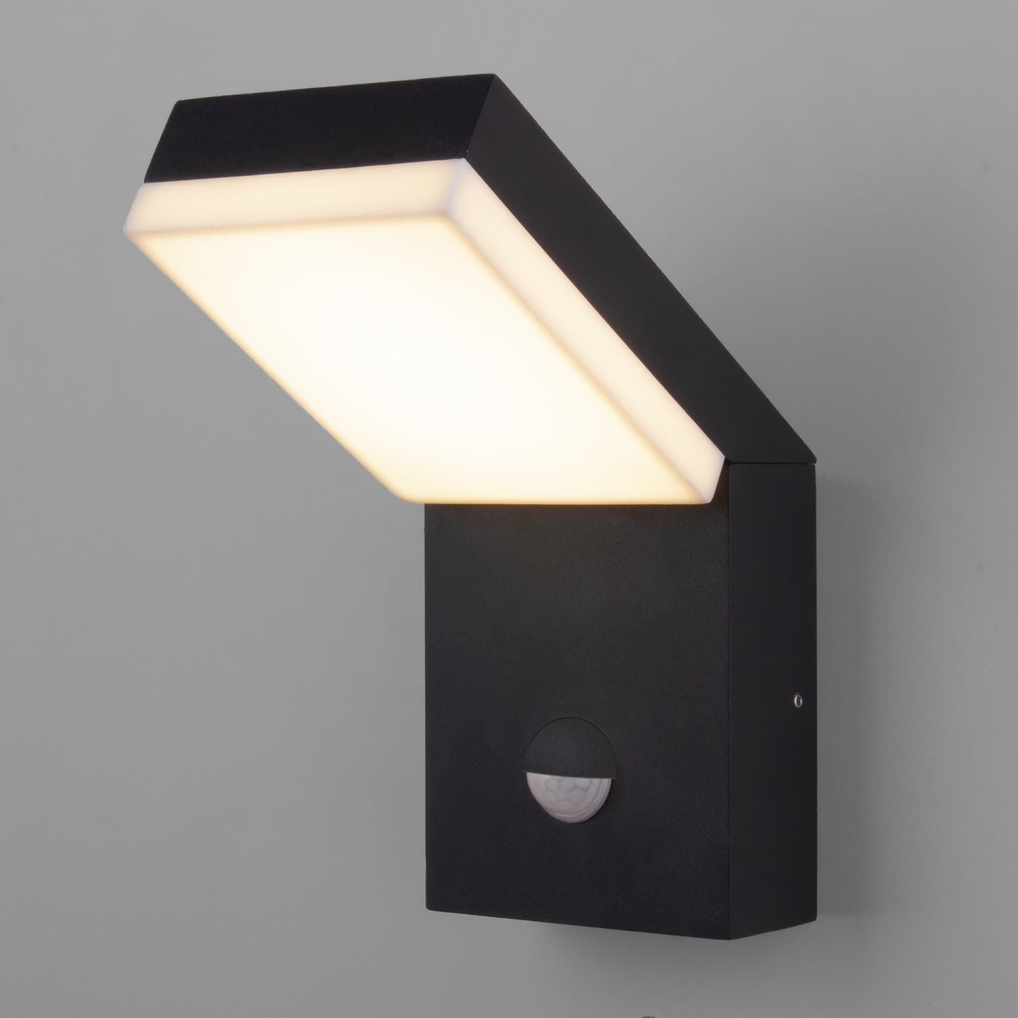 Elektrostandard 1541 TECHNO LED / Светильник садово-парковый со светодиодами с датчиком движения чёрный a053946 — миниатюра 1