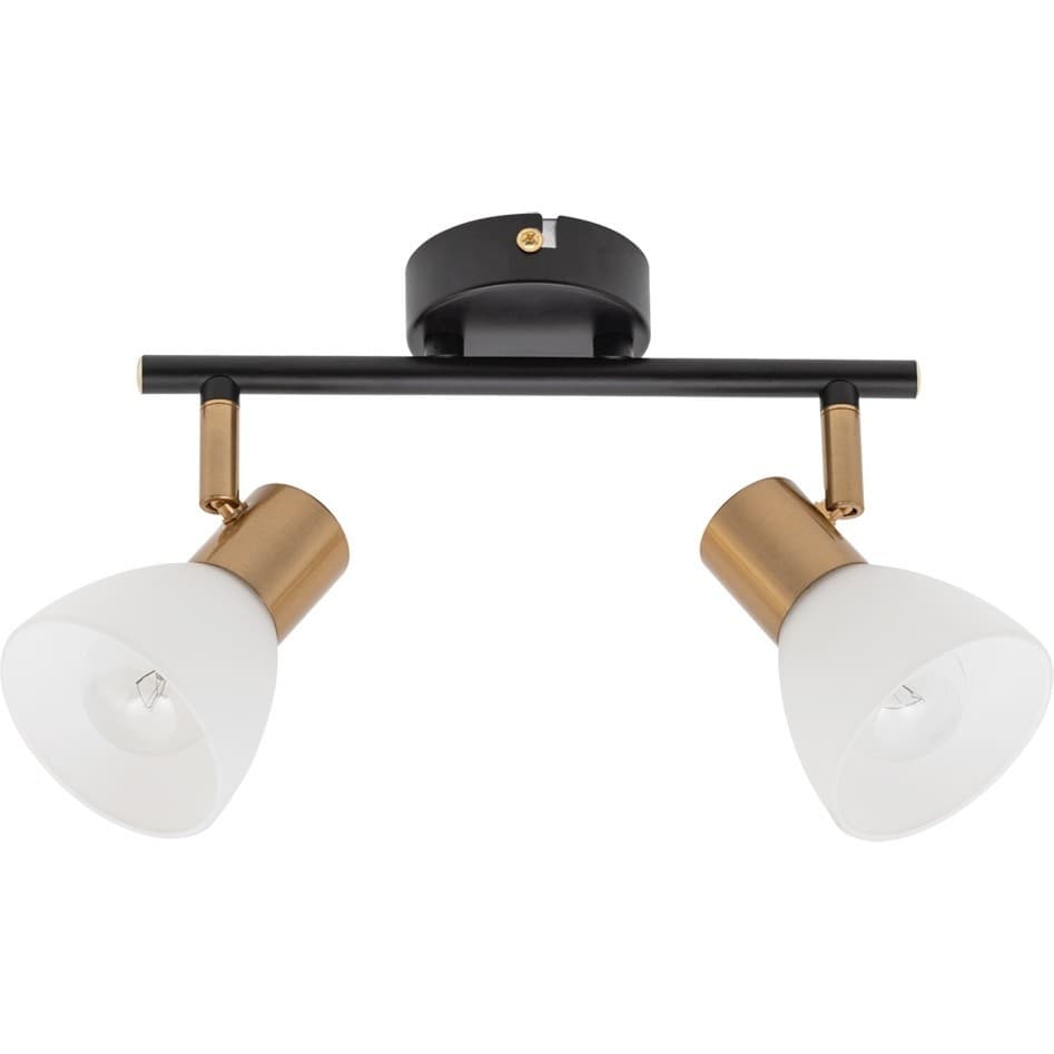Arte Lamp FALENA Светильник потолочный лампа накаливания A3117PL-2BK