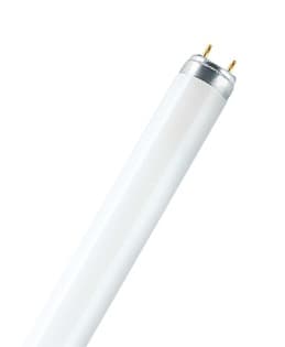Osram Лампа люминесцентная L 36W/865 25X1 4058075692992
