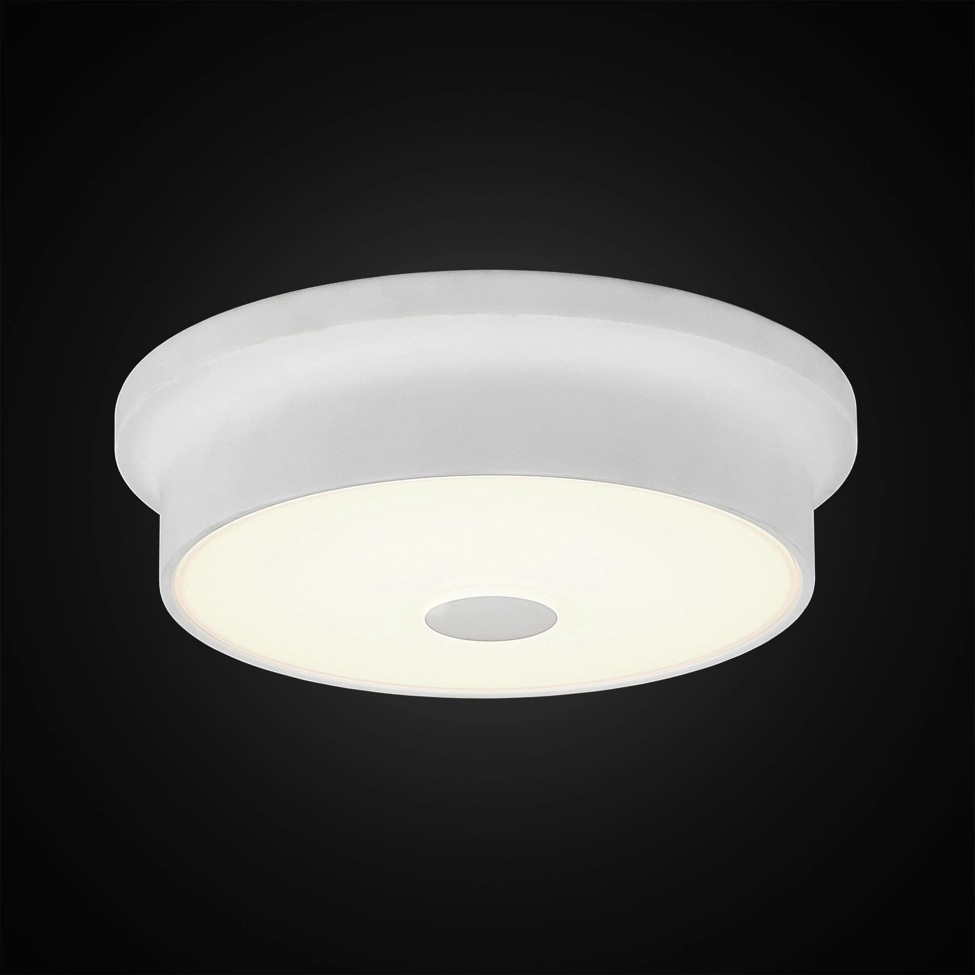 Citilux CL706210 Фостер-2 Белый Светильник Наст.-Потол — миниатюра 2