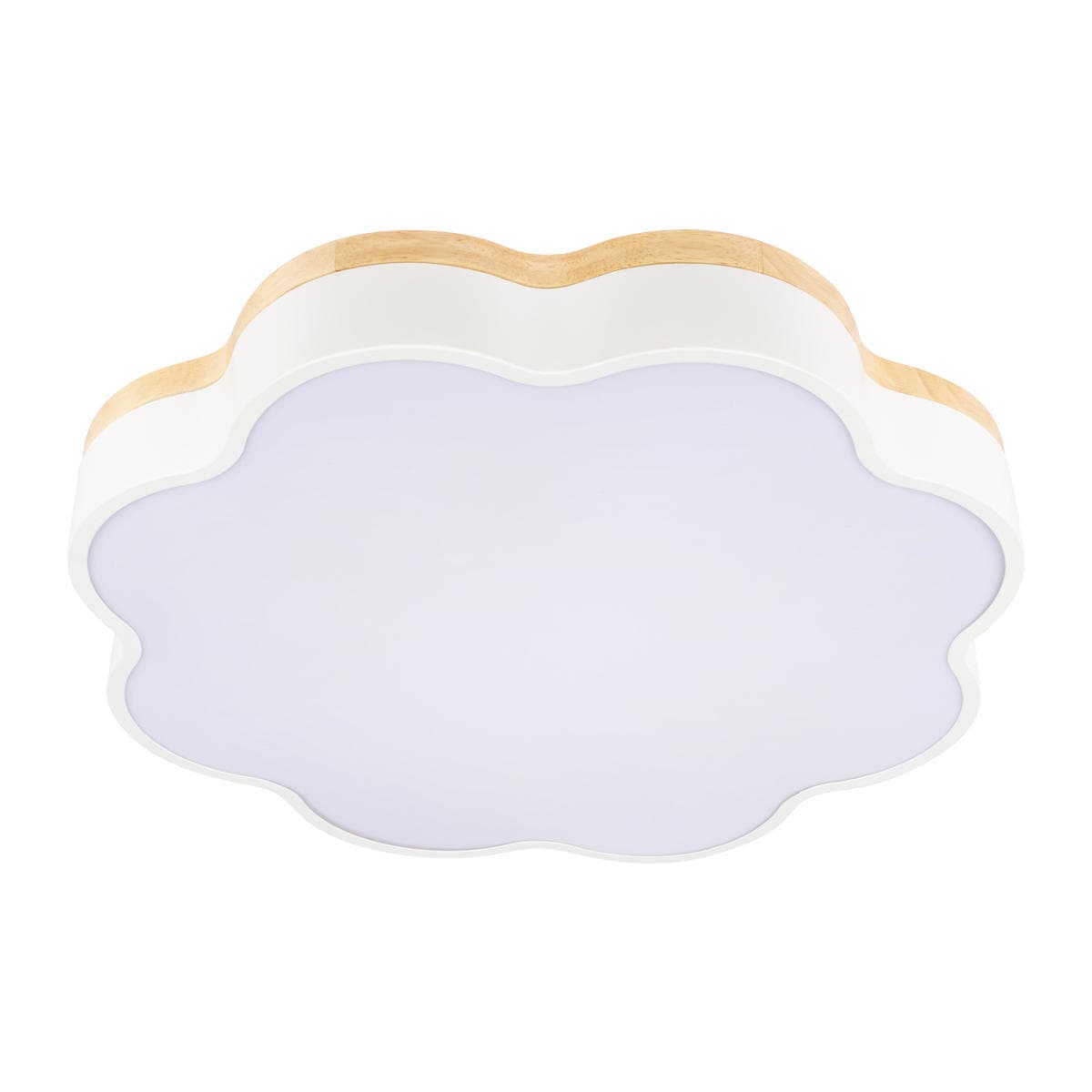 LOFT IT 10225/36 White Потолочный светильник Axel
