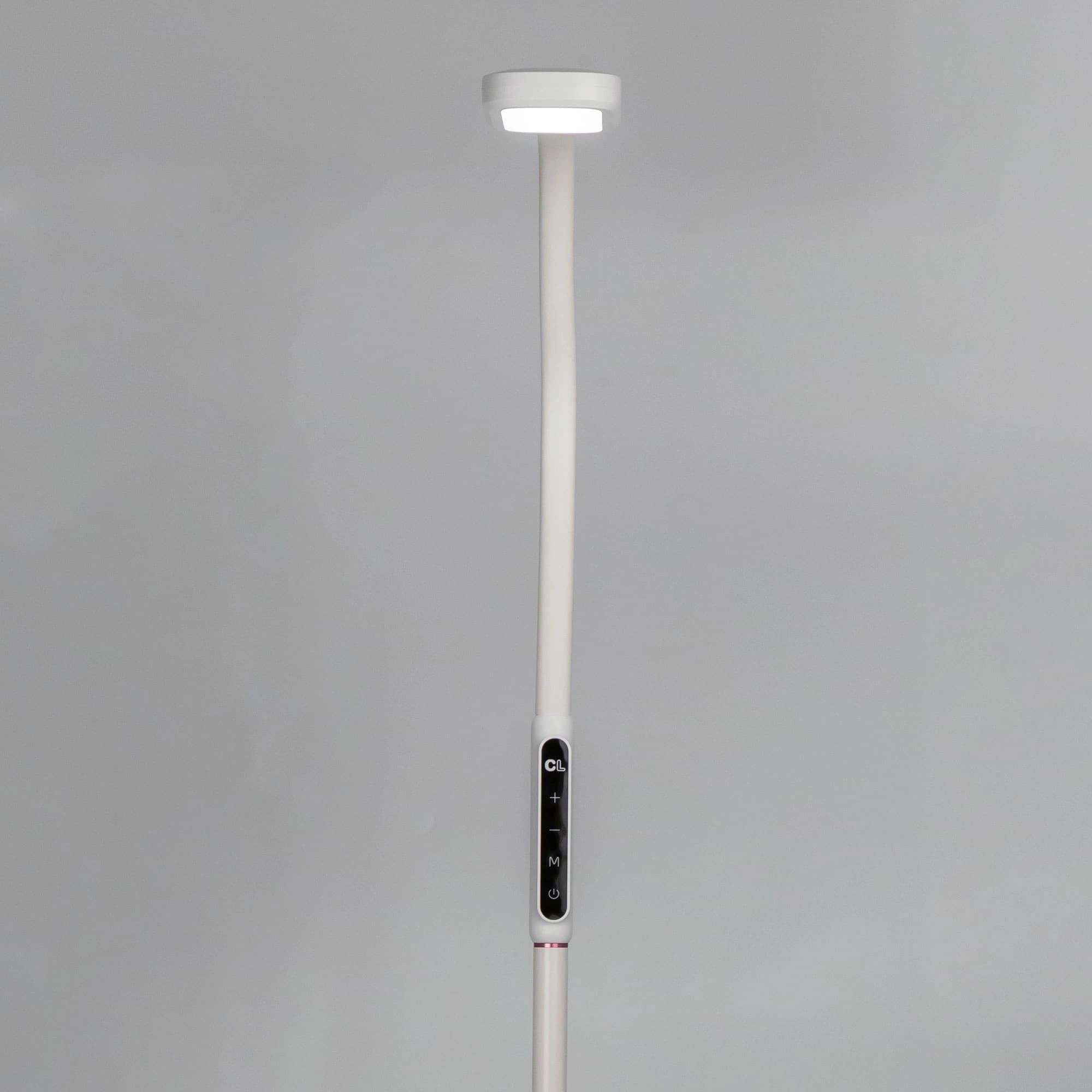 Citilux CL804020 Марк Белый Торшер — миниатюра 2