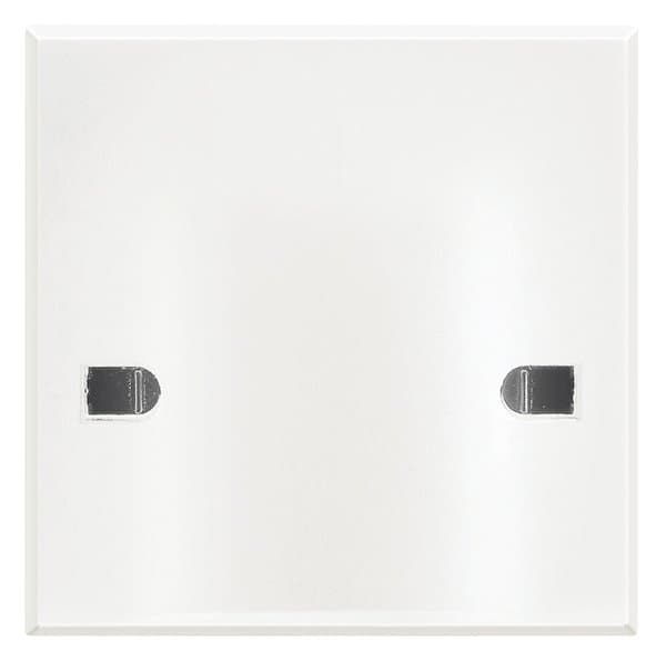 BT Axolute White Вывод кабеля с нерасплавляющейся лицевой панелью, 45А HD4955A45