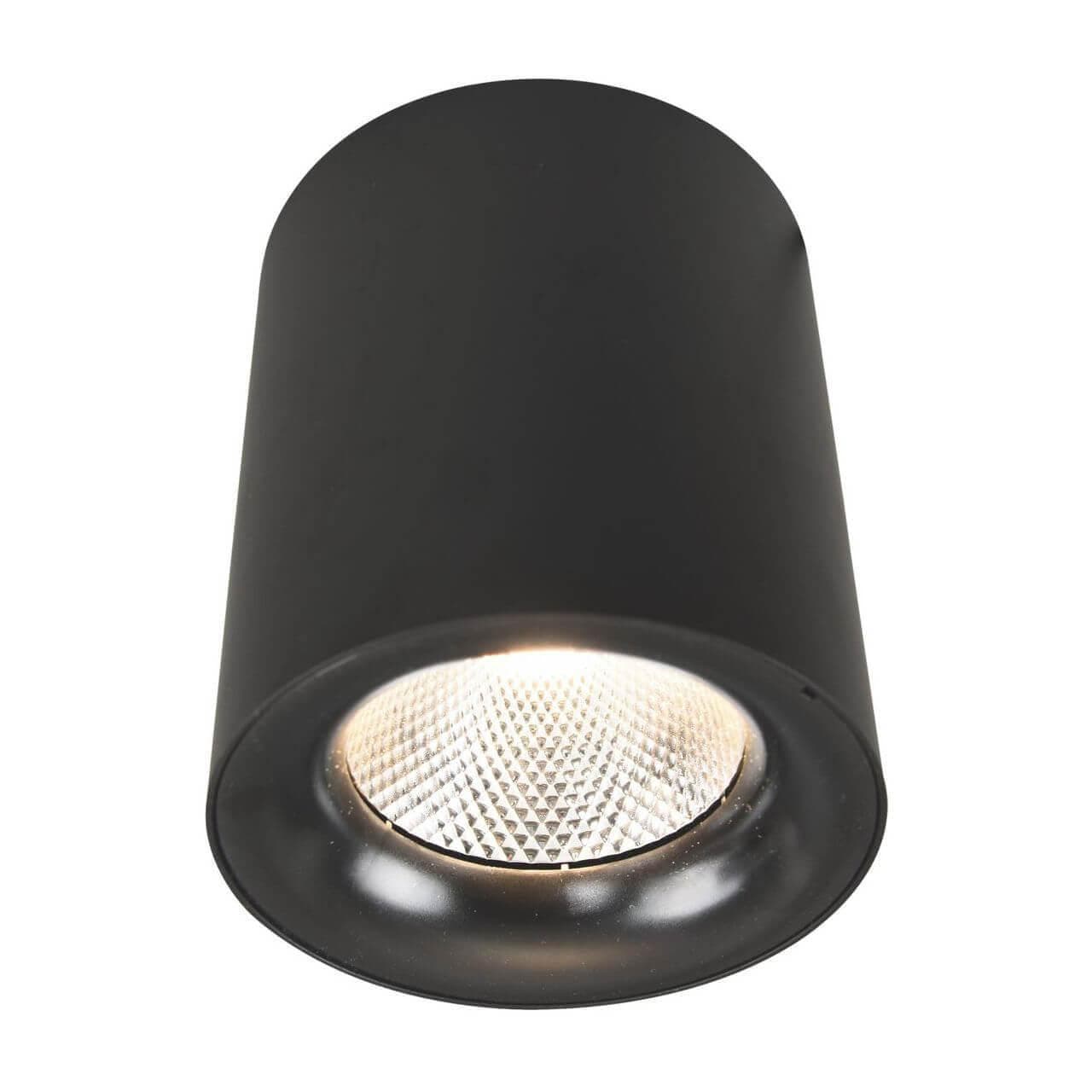 Arte Lamp FACILE Потолочные светильники A5118PL-1BK — миниатюра 1