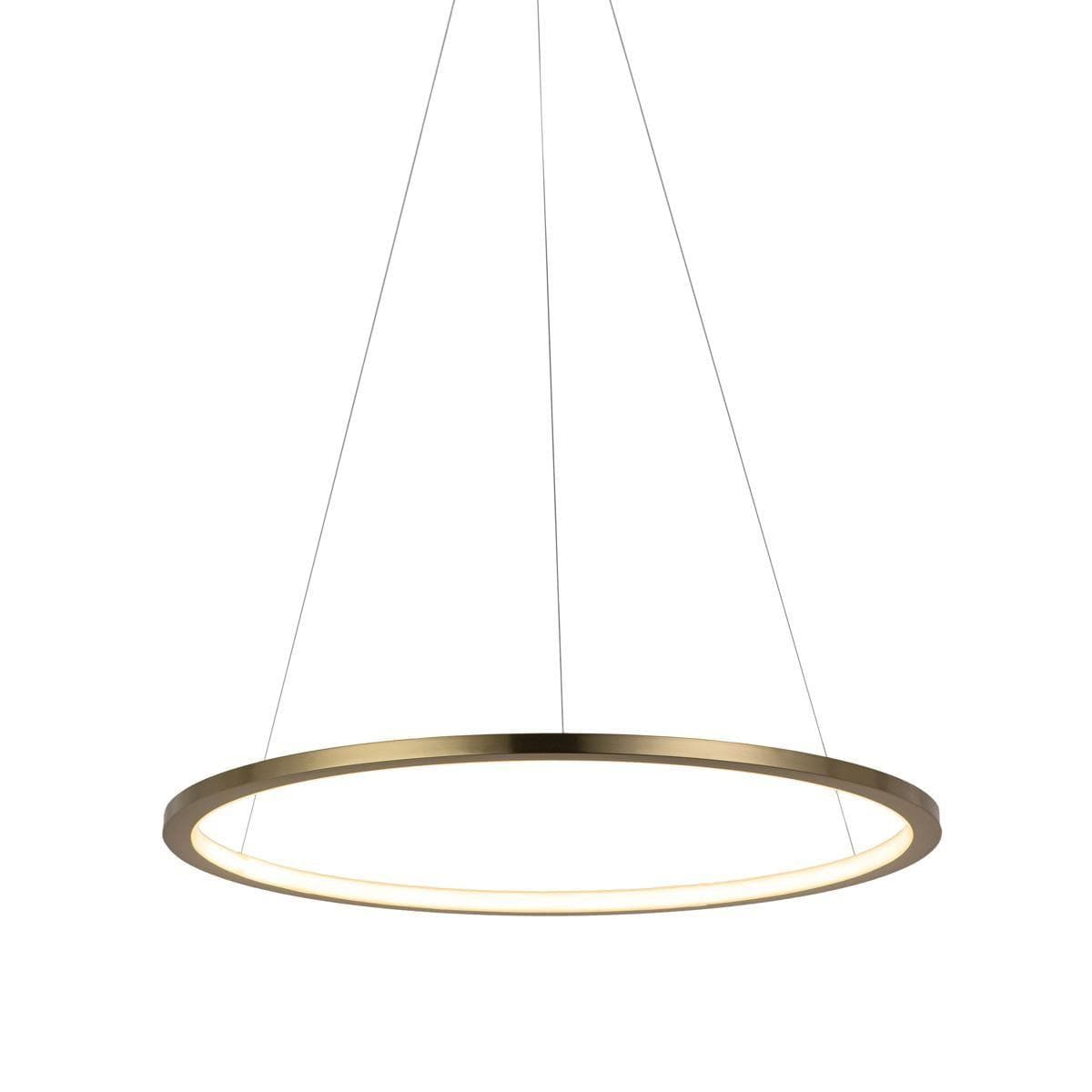 LOFT IT 10014M Светильник подвесной Ring, шт — миниатюра 2