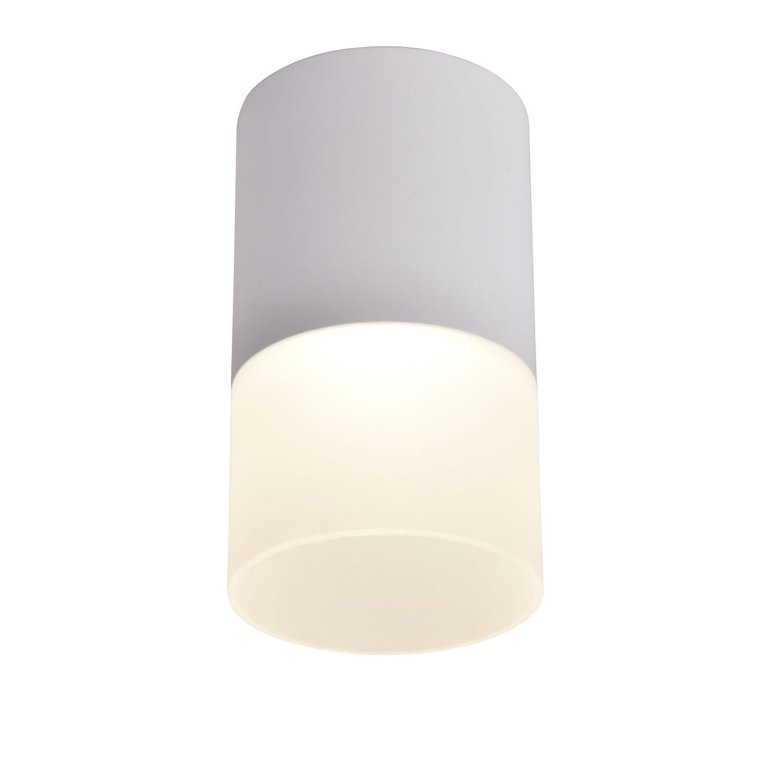 Favourite Потолочный светильник Naram D64*H110 LED*5W, 400LM, 4000K, IP20, included 3069-1C
