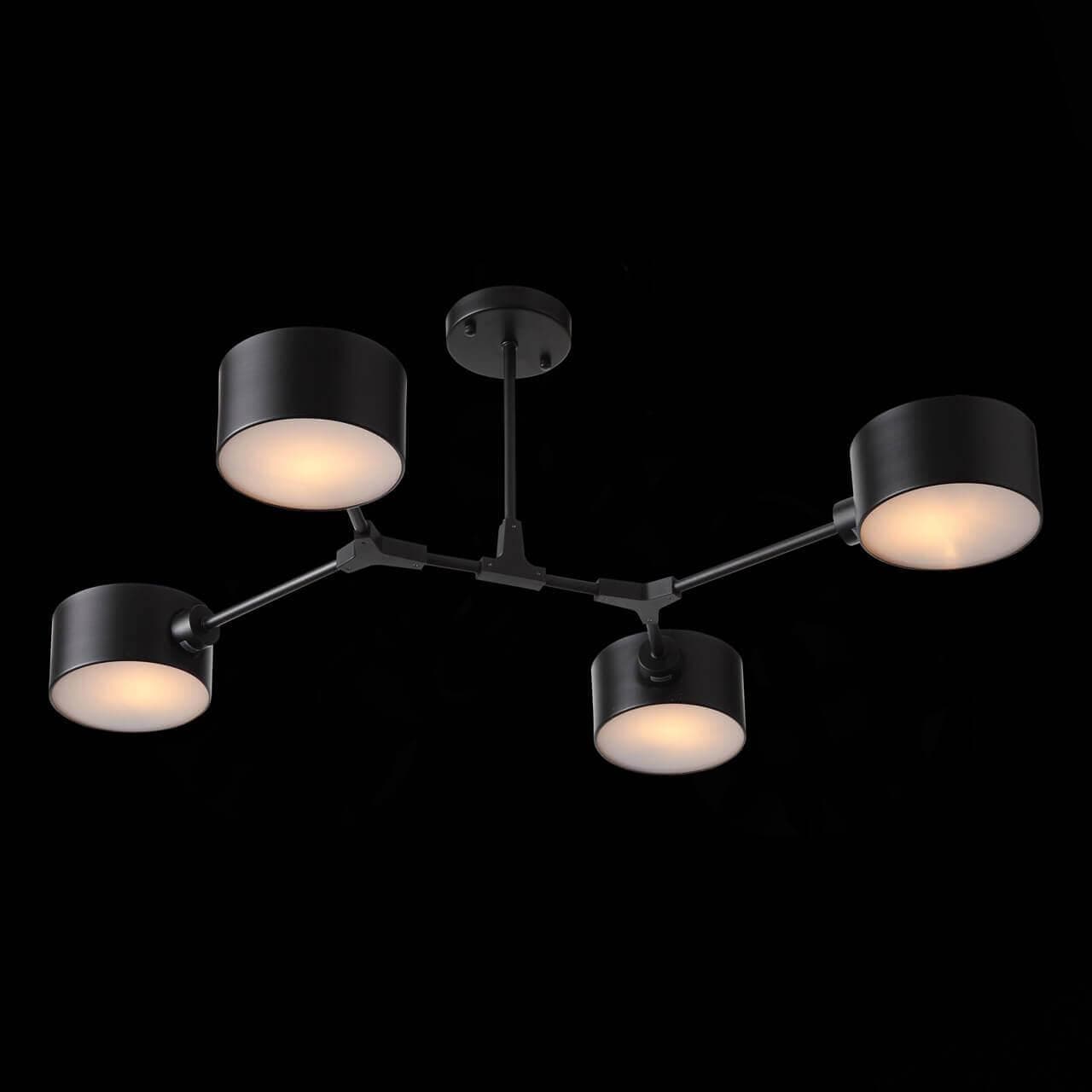Evoluce SLE183402-04 Светильник потолочный Черный/Черный E14 4*60W — миниатюра 3