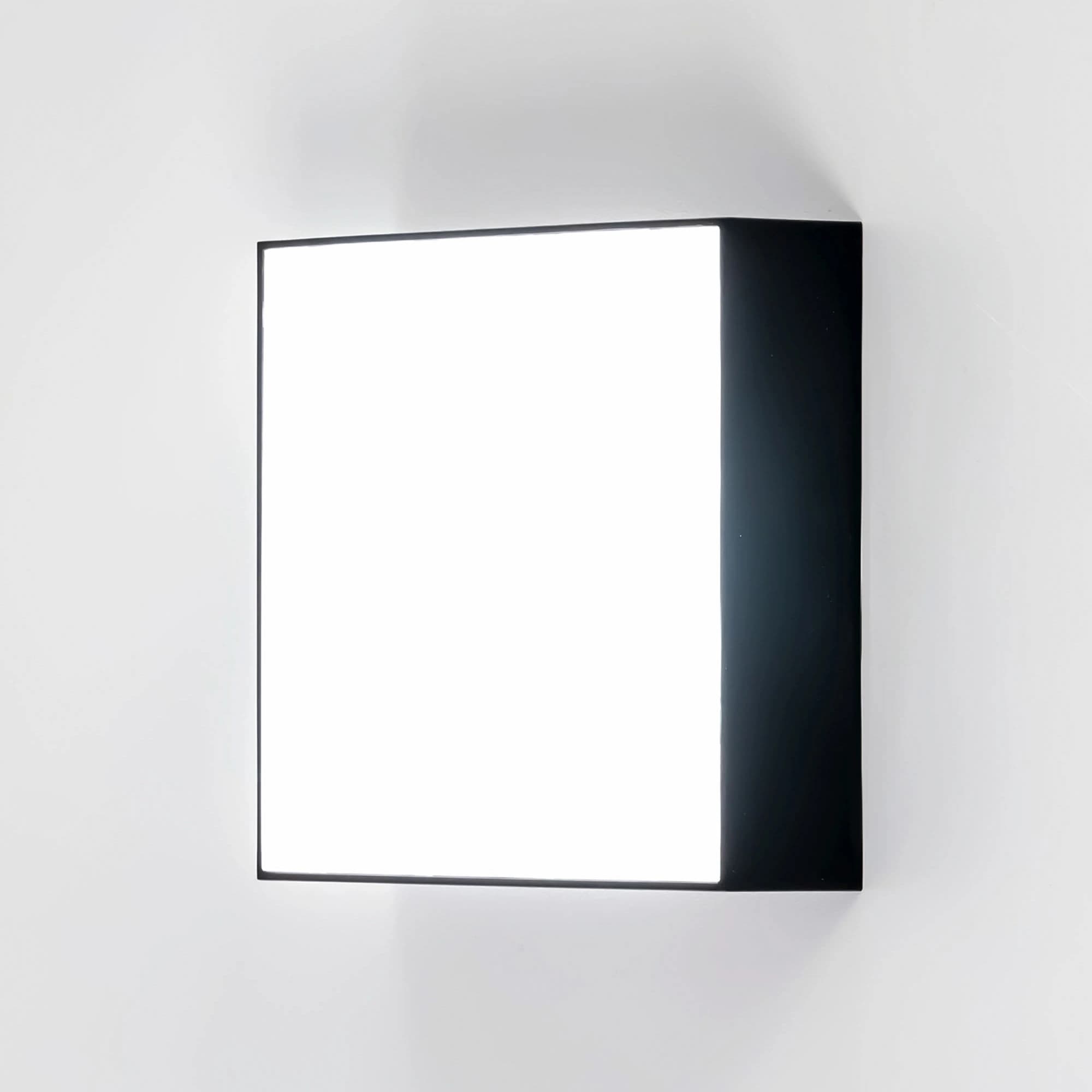 Citilux CL712X122N Тао Черный Светильник Накл. LED 12W*4000K — миниатюра 8