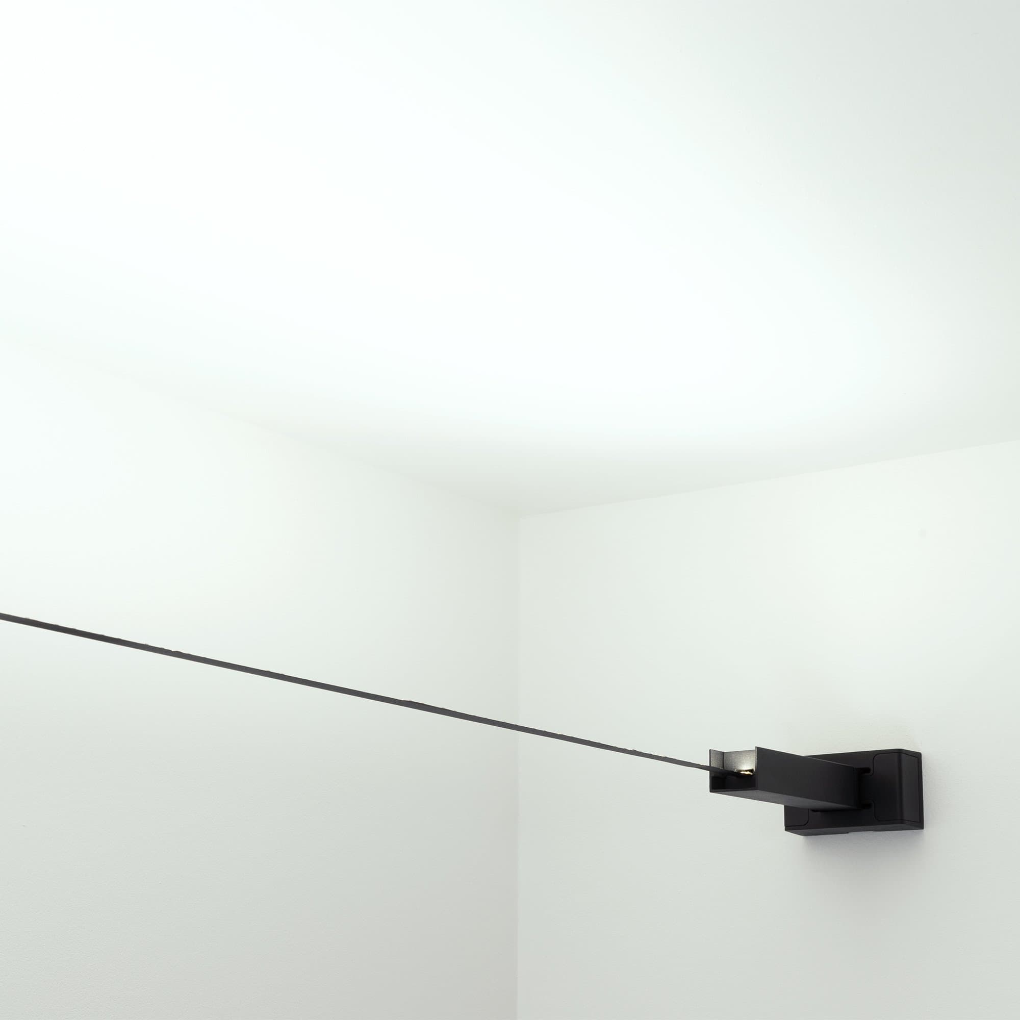 Arlight Лента-трос STINGRAY-RT-A120-8mm 24V White6000 (9.6 W/m, IP20, 5m) (-) 034175 — миниатюра 3