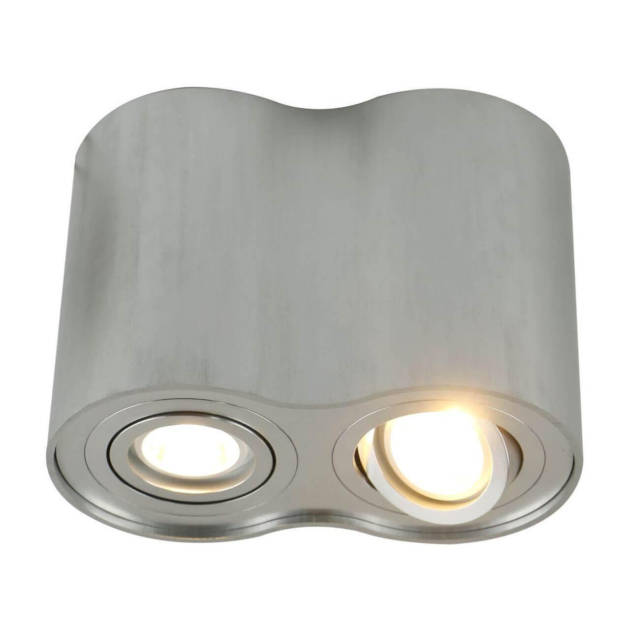 Arte Lamp FALCON Потолочные светильники A5644PL-2SI — миниатюра 3