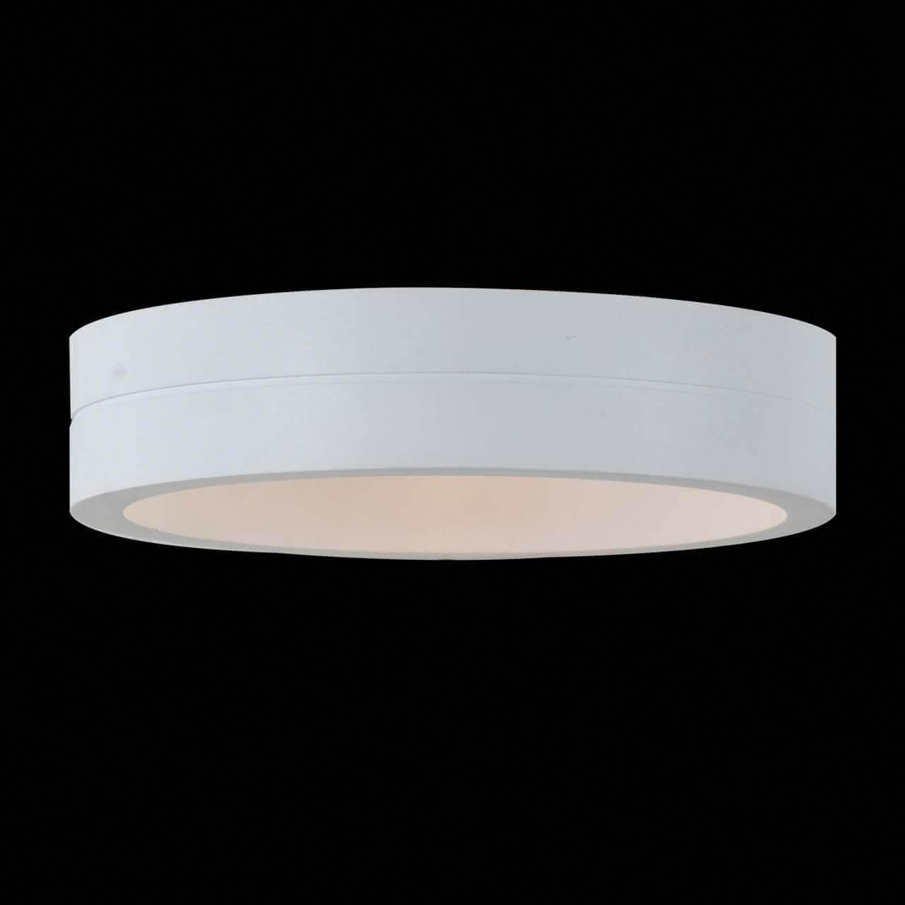 ST LUCE SL562.501.01 Светильник уличный настенный  Белый/Белый LED 1*6W — миниатюра 3