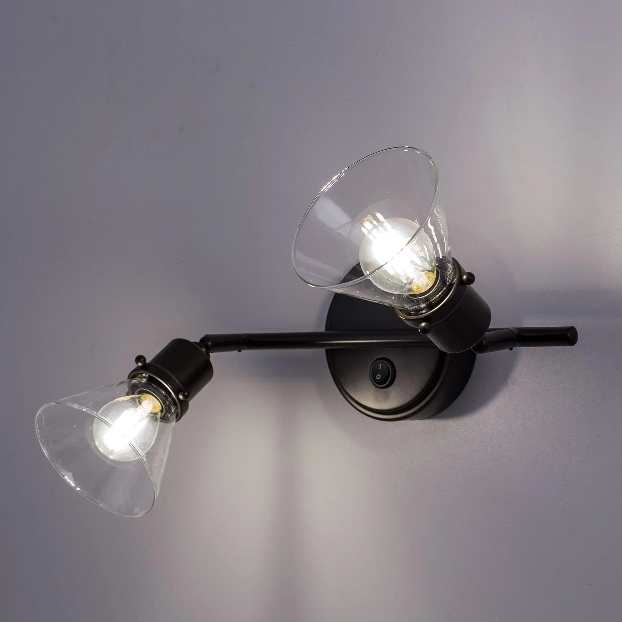 Citilux CL564521 Бисмарк Светильник Наст.-Потол — миниатюра 12