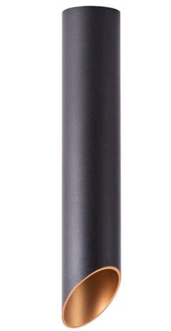 Arte Lamp PILON-GOLD Потолочные светильники A1536PL-1BK