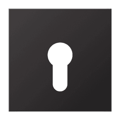 JUNG крышка для выключателя с замком, Dark AL2925D