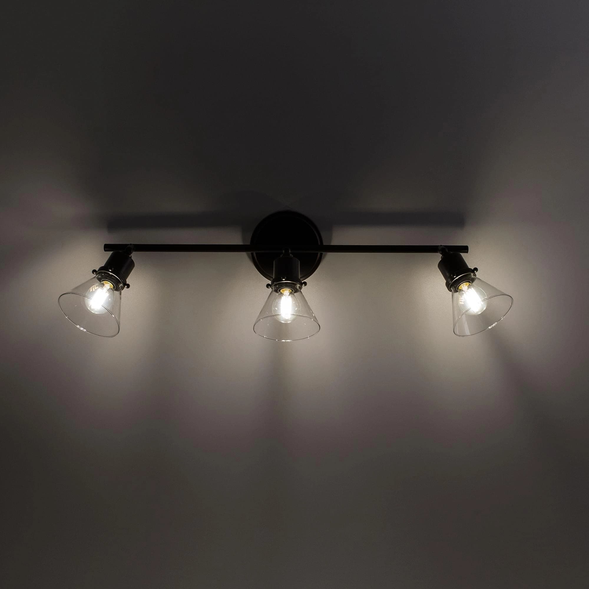 Citilux CL564531 Бисмарк Светильник Наст.-Потол — миниатюра 2