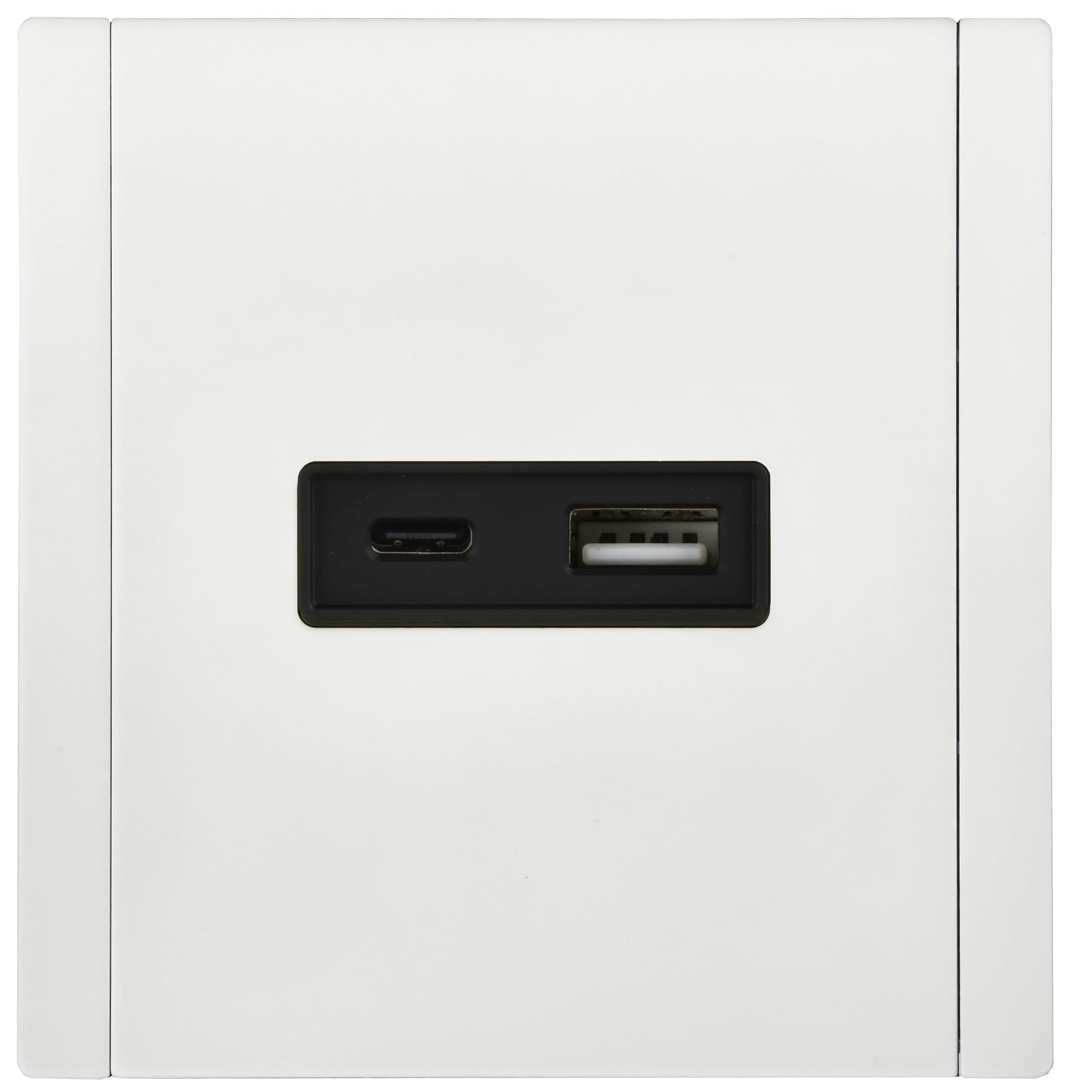 IEK FORTE&PIANO Металл Белый Розетка USB A+C 3,1А FP250M — миниатюра 2