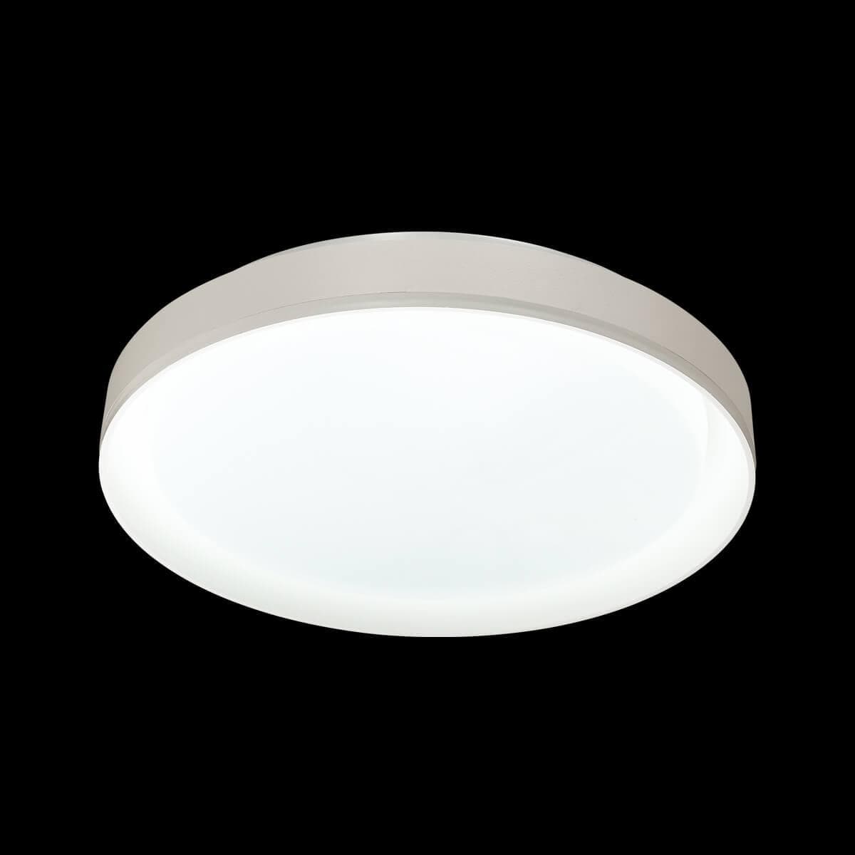 Sonex 3030/DL SN 017 св-к BIONIC пластик LED 48Вт 3000-6000K D410 IP43 пульт ДУ — миниатюра 2