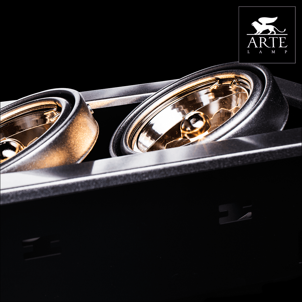 Arte Lamp Cardani Серебро/Серый Светильник точечный встаиваемый 50W G5,3 2x500lm A5930PL-2SI — миниатюра 4
