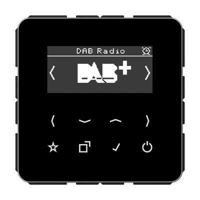 JUNG Цифровое радио DAB +, чёрный DABCDSW