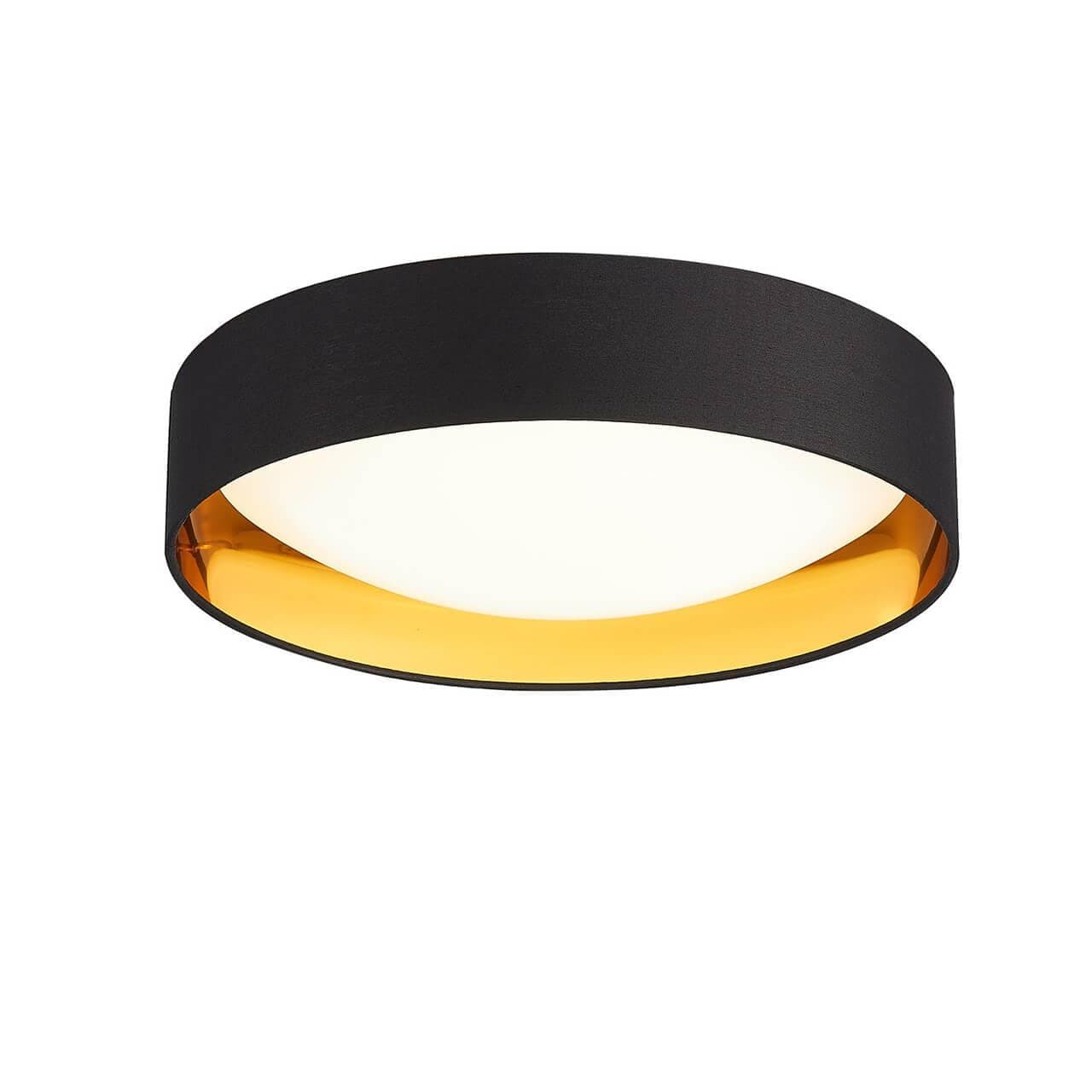 Evoluce SLE201102-01 Светильник потолочный Черный, Золото/Белый LED 1*24W 4000K — миниатюра 2