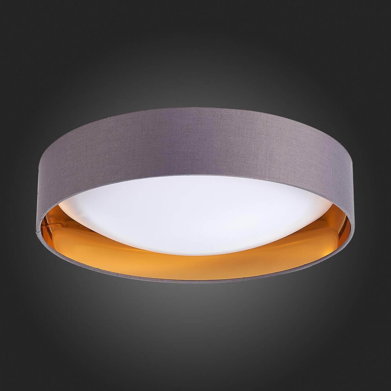 Evoluce SLE201112-01 Светильник потолочный Серый, Золото/Белый LED 1*24W 4000K — миниатюра 2
