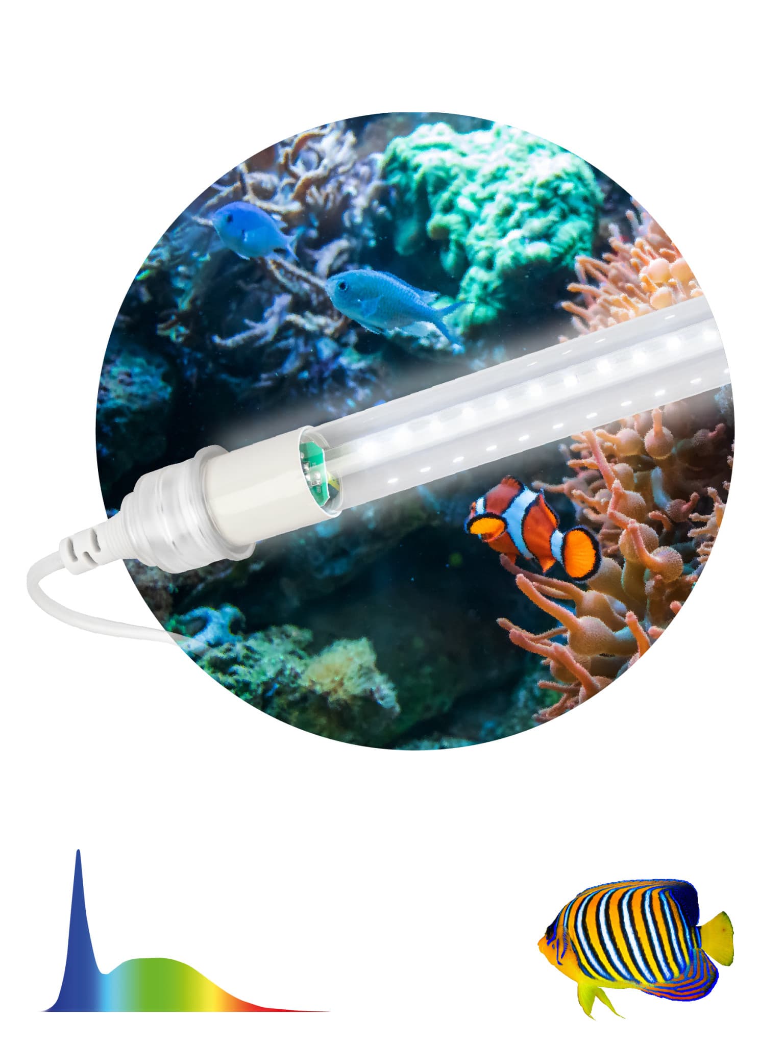 ЭРА Фитолампа для растений светодиодная ЭРА FITO-15W-Ra90-Т8-AQUA для аквариума, 15 Вт, полный спектр