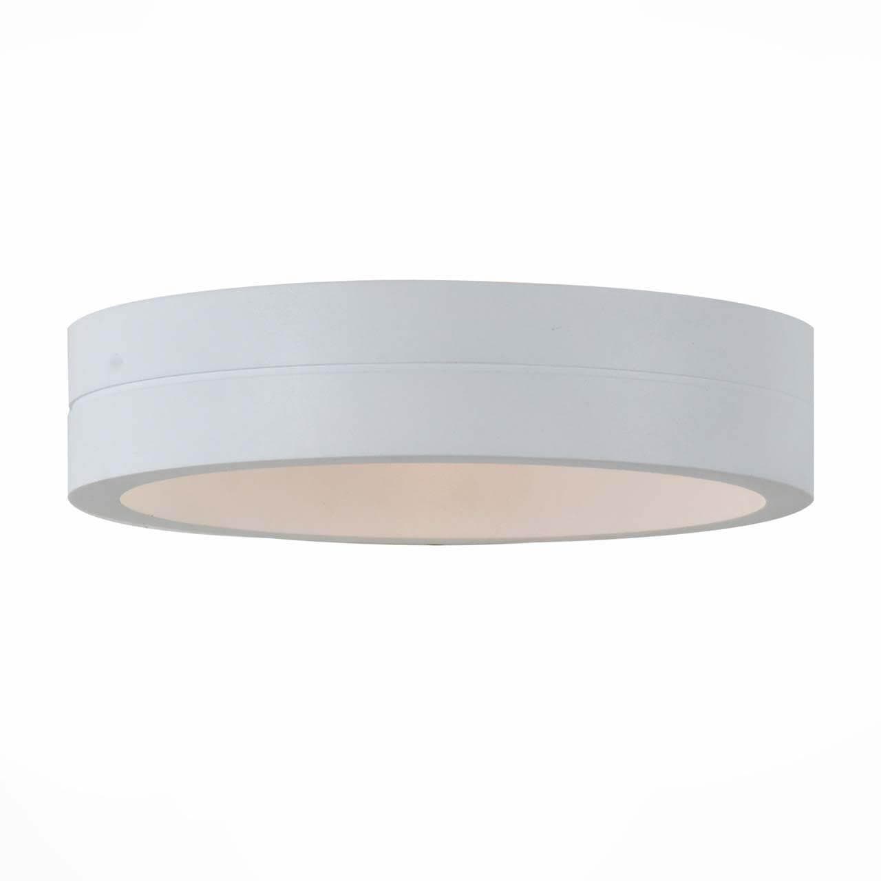 ST LUCE SL562.501.01 Светильник уличный настенный  Белый/Белый LED 1*6W — миниатюра 1