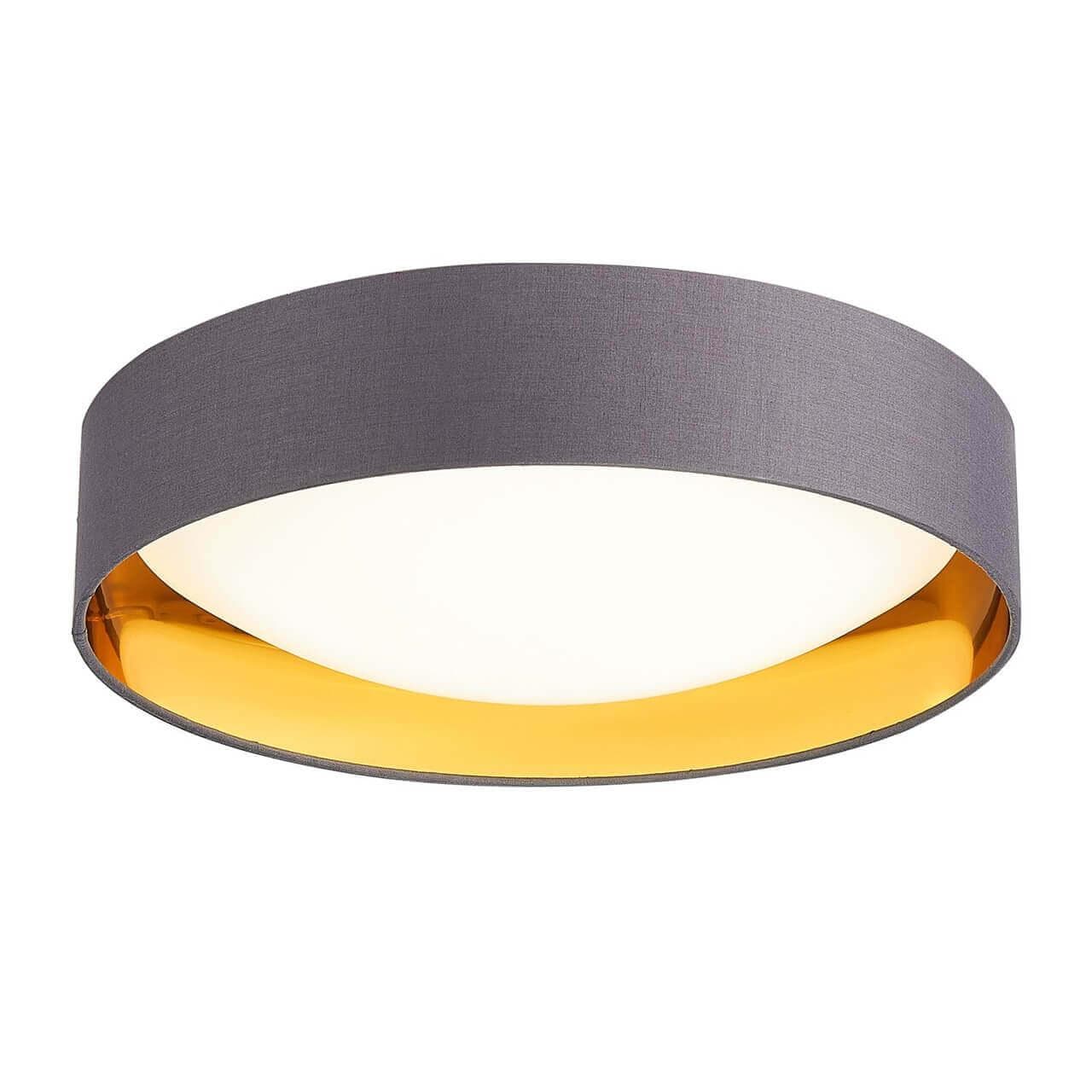 Evoluce SLE201112-01 Светильник потолочный Серый, Золото/Белый LED 1*24W 4000K — миниатюра 4