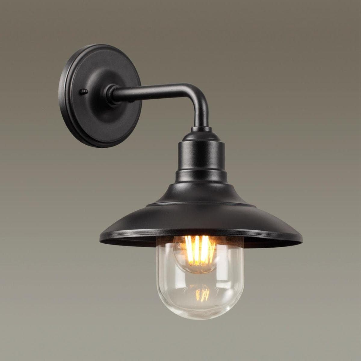 Odeon Light 4965/1W NATURE ODL22 579 черный/стекло Ландшафтный настен.светильник E27 1*60W IP44 CAMPA — миниатюра 4