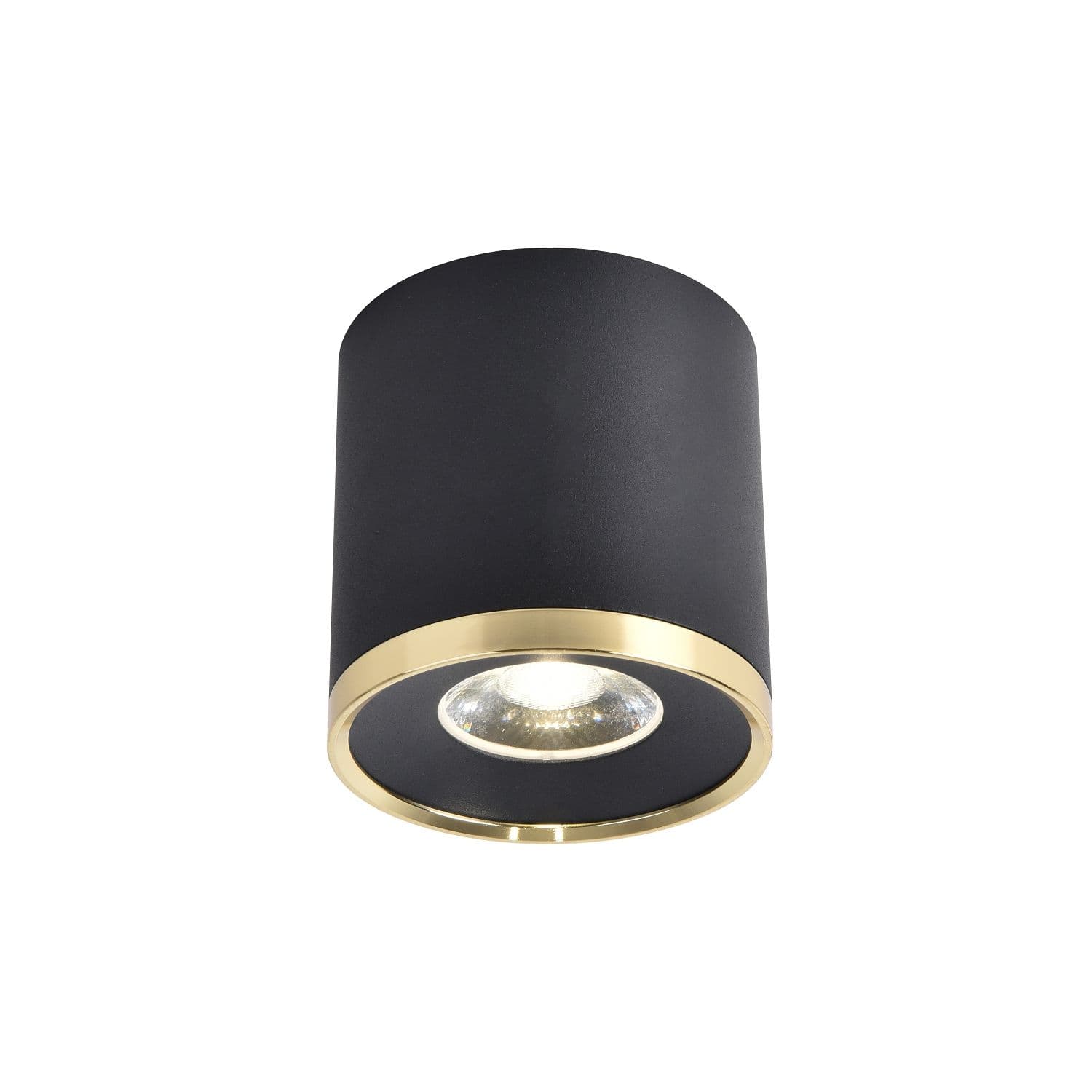 Favourite Потолочный светильник Prakash D88*H91 LED*10W, 800LM, 4000K, IP20, included 3086-2C