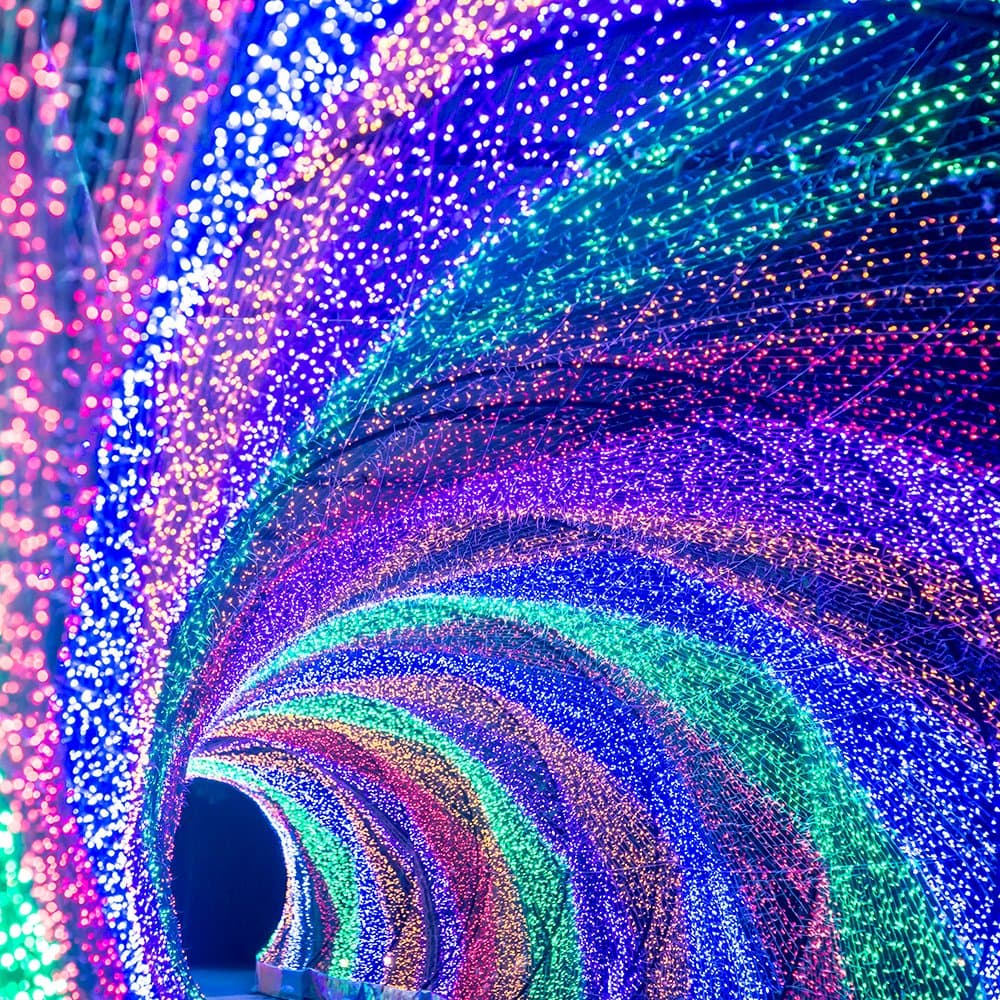 Arlight Светодиодная гирлянда ARD-CURTAIN-CLASSIC-2000x2500-CLEAR-405LED RGB (230V, 81W) (Ardecoled, IP65) 024851 — миниатюра 3