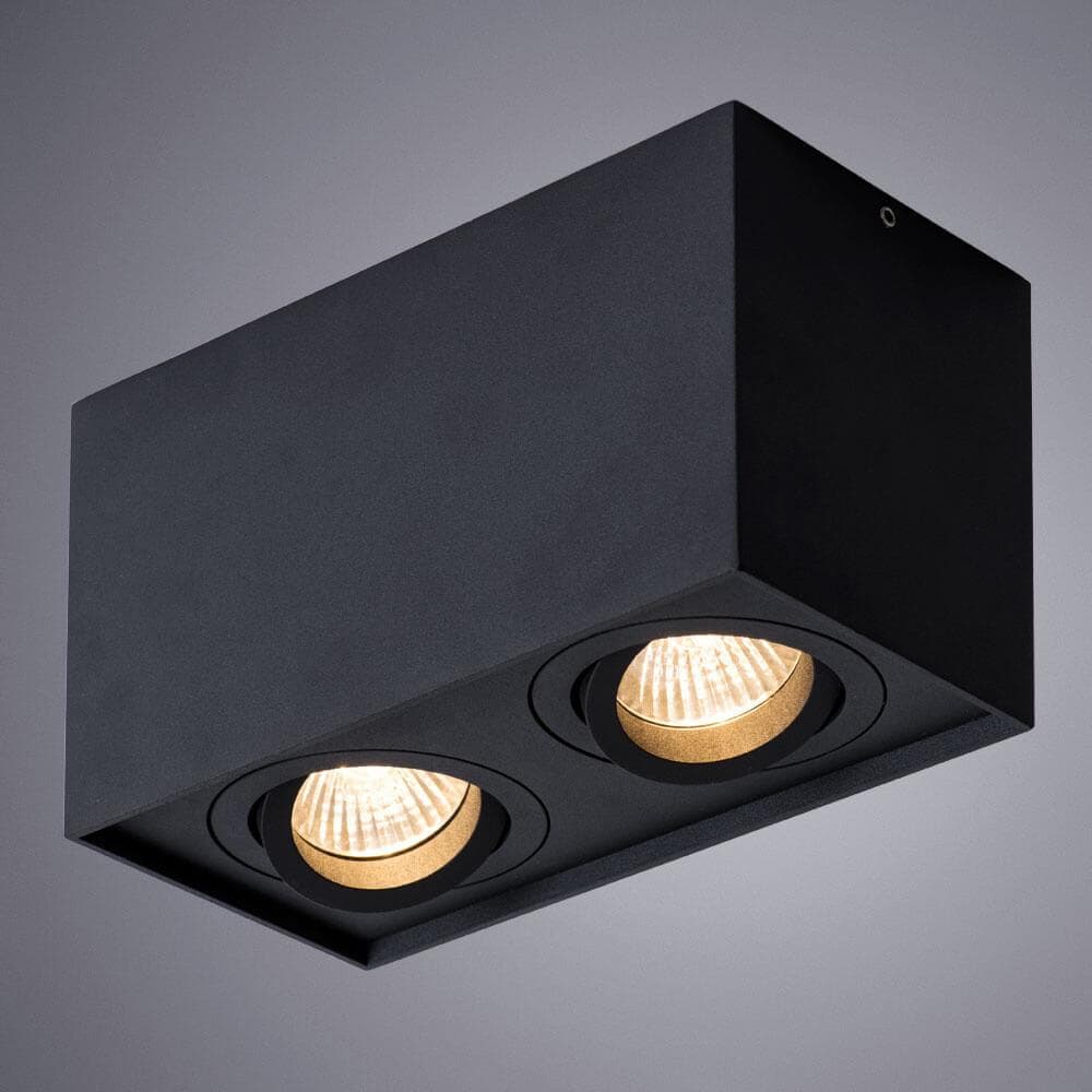Arte Lamp FACTOR Потолочные светильники A5544PL-2BK — миниатюра 2