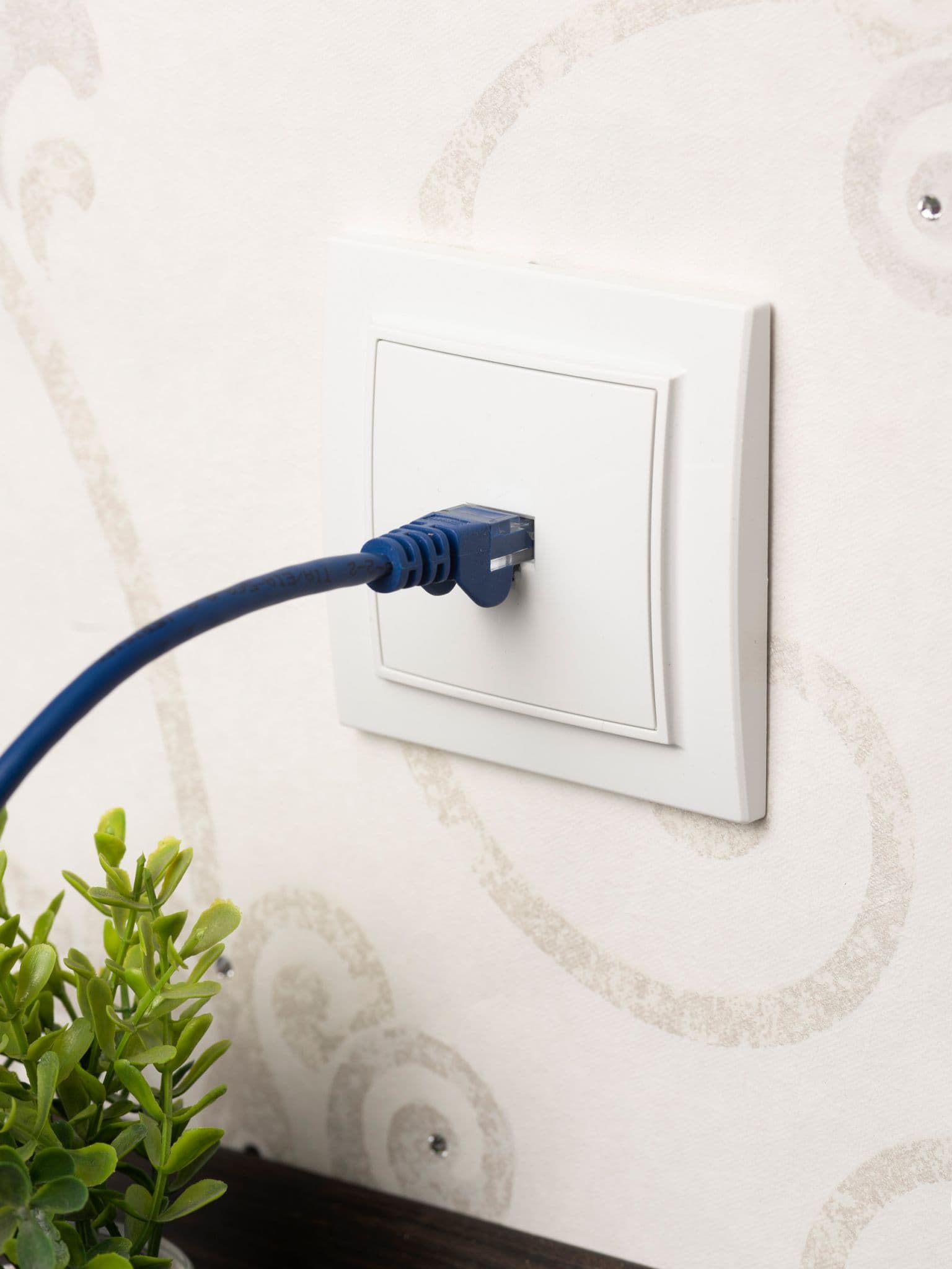 EKF Basic Минск Белый Розетка RJ-45, СП — миниатюра 5