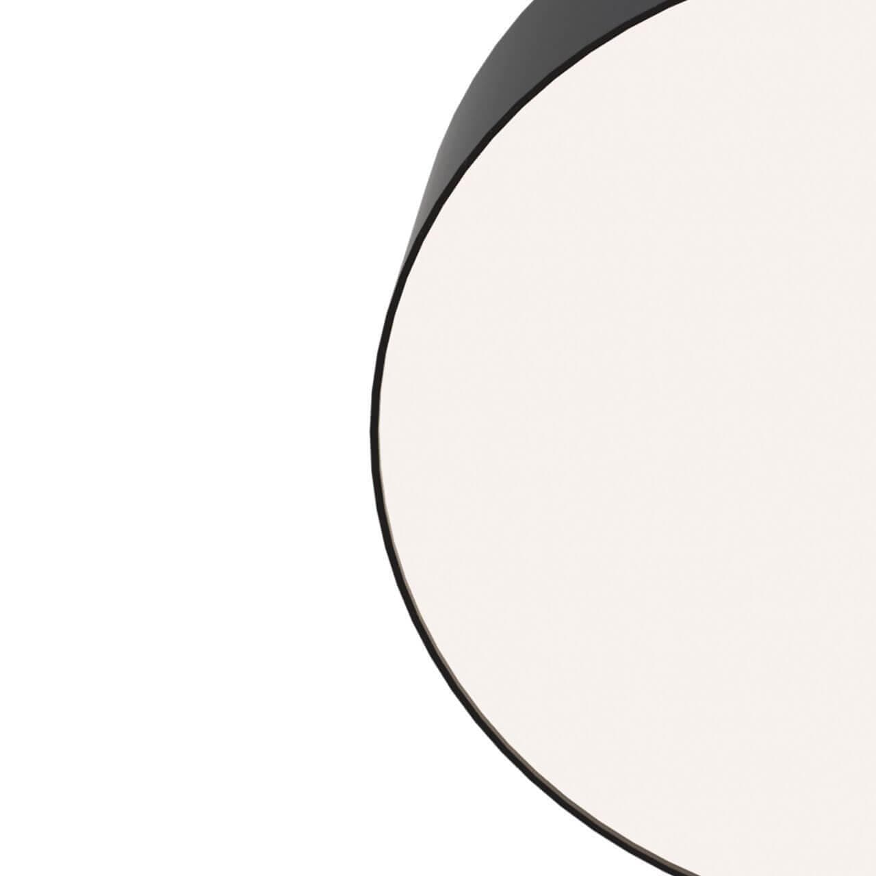 Maytoni Ceiling & Wall Потолочный светильник Черный C032CL-L32B4K — миниатюра 5